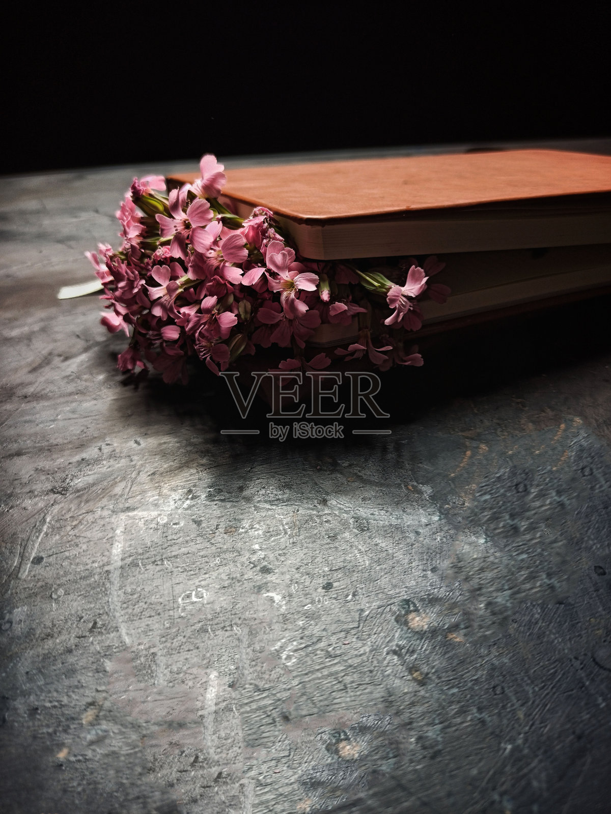 美食烹饪体验照片摄影图片