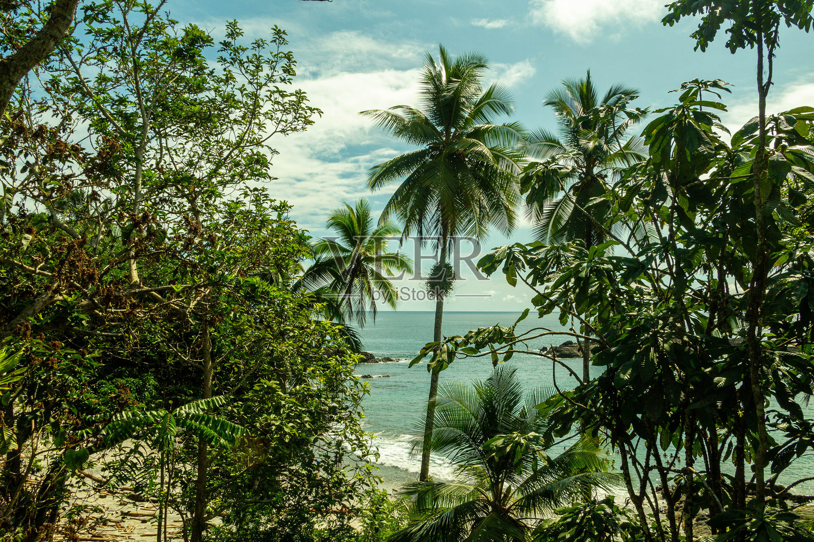 太平洋的低语照片摄影图片