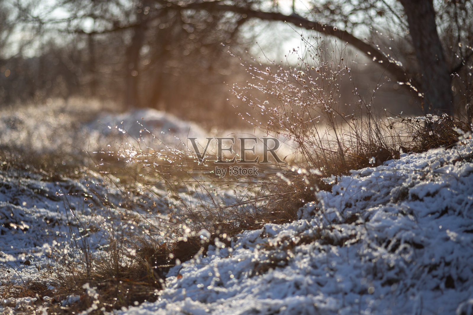 初雪中的冬天照片摄影图片