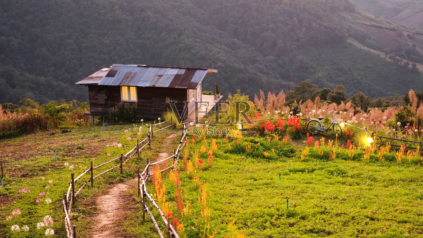 山中的木屋与花田照片摄影图片