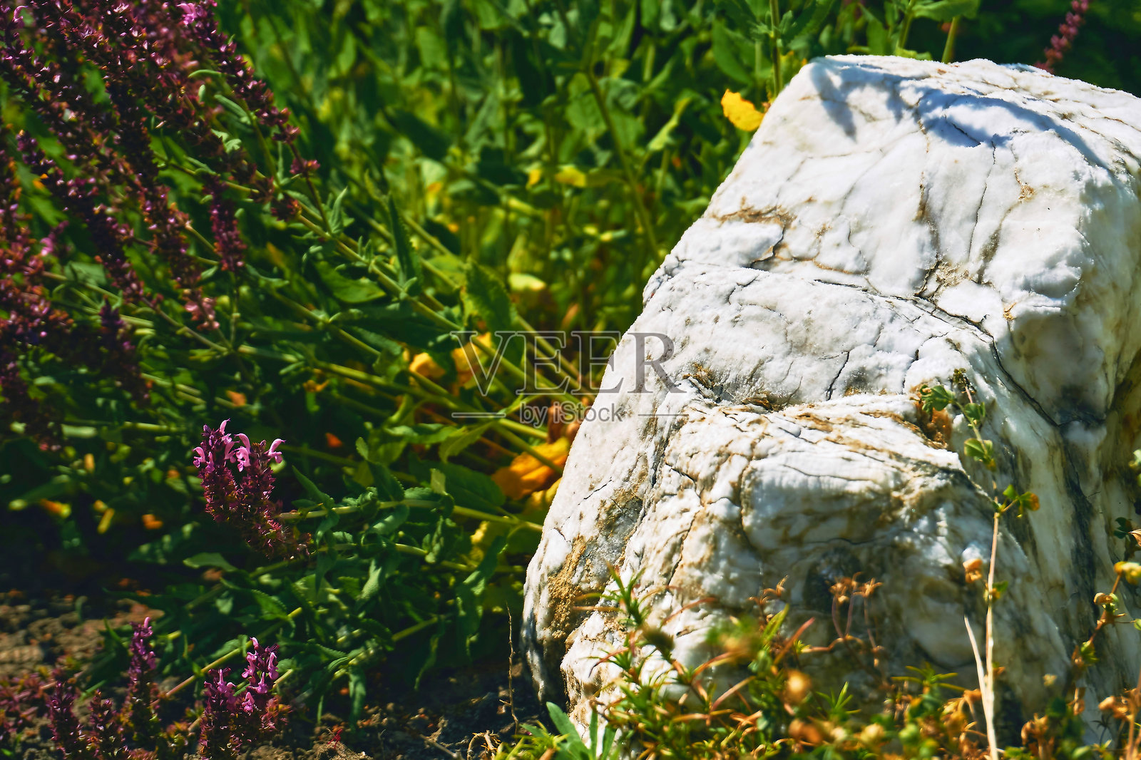 白色大理石石砌于花丛之中，具有设计和造景的元素照片摄影图片