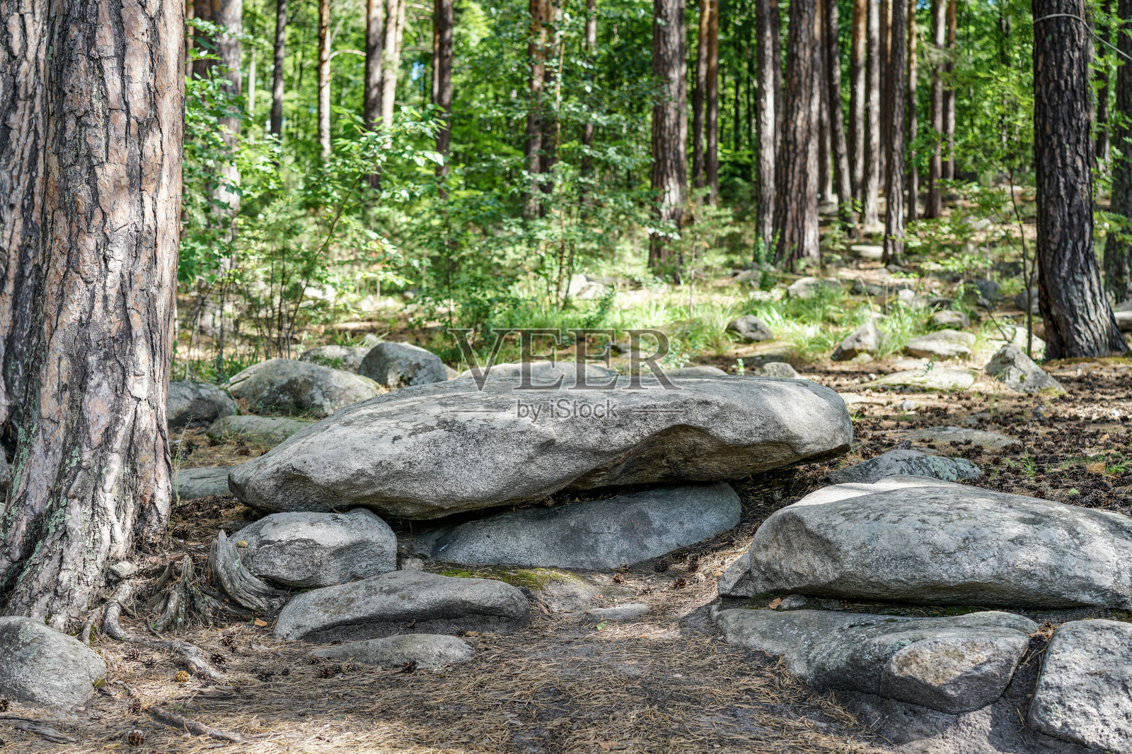 俄罗斯乌拉尔图尔戈亚克湖的信仰岛。一个大石头坐落在靠近水体的森林中。照片摄影图片