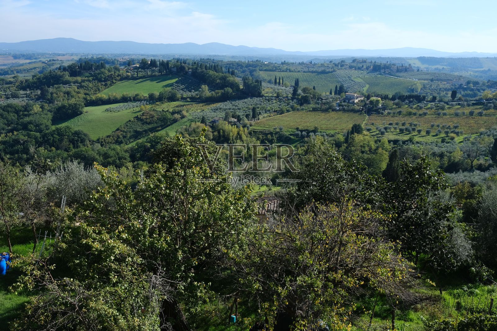 托斯卡纳乡村的美丽景色，起伏的山丘、橄榄树林和葡萄园照片摄影图片