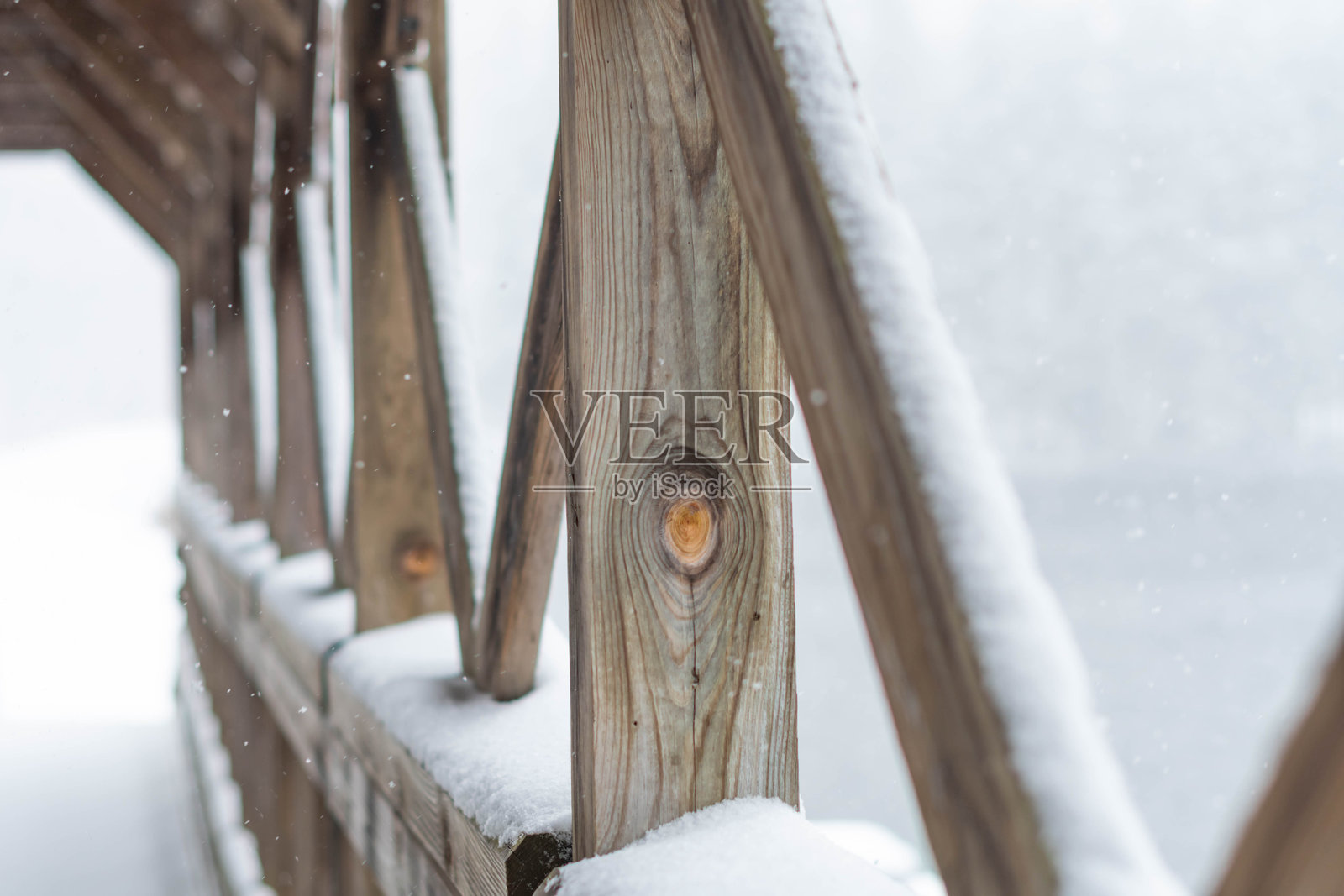 初雪松树背景图，季节性聚焦于被雪覆盖的清晨照片摄影图片