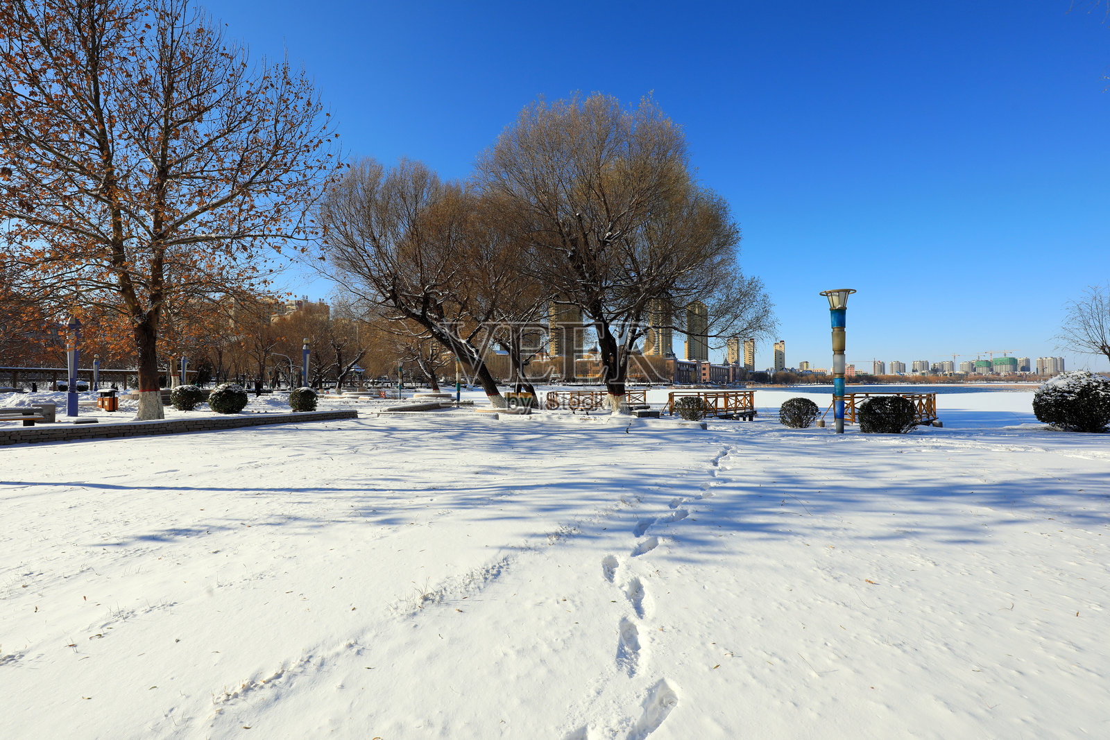 中国北方某公园冬雪后的自然风光照片摄影图片