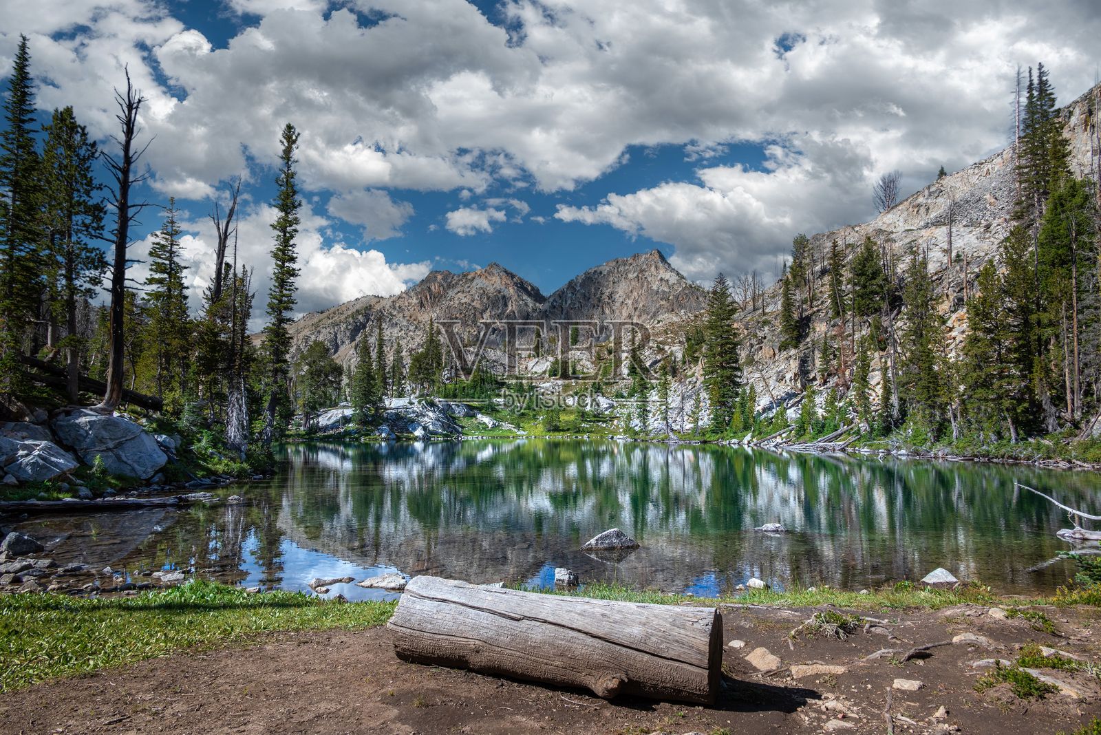 一根木头躺在一个小湖和树旁边的地上照片摄影图片