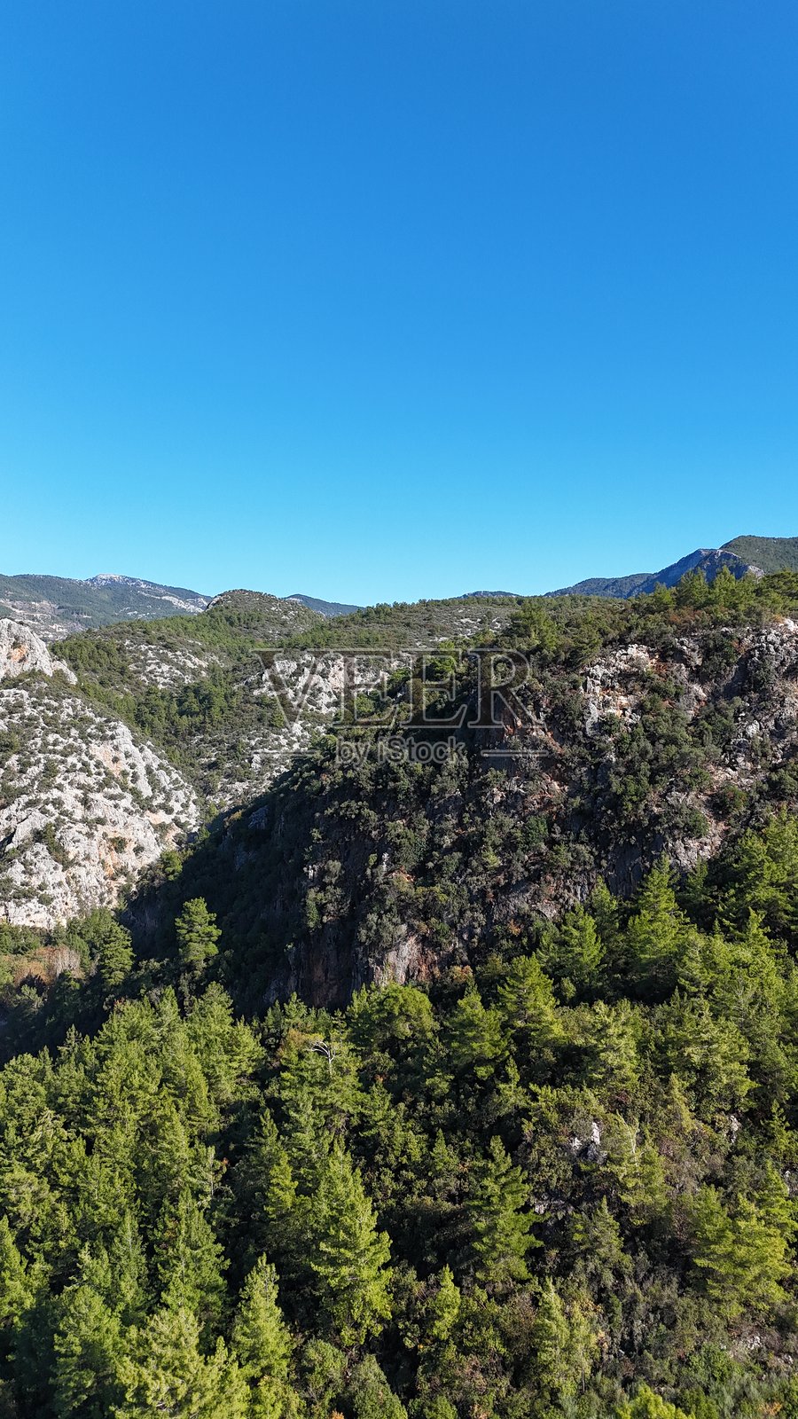 无人机飞行在松树林的山脉上，蓝天晴朗。照片摄影图片