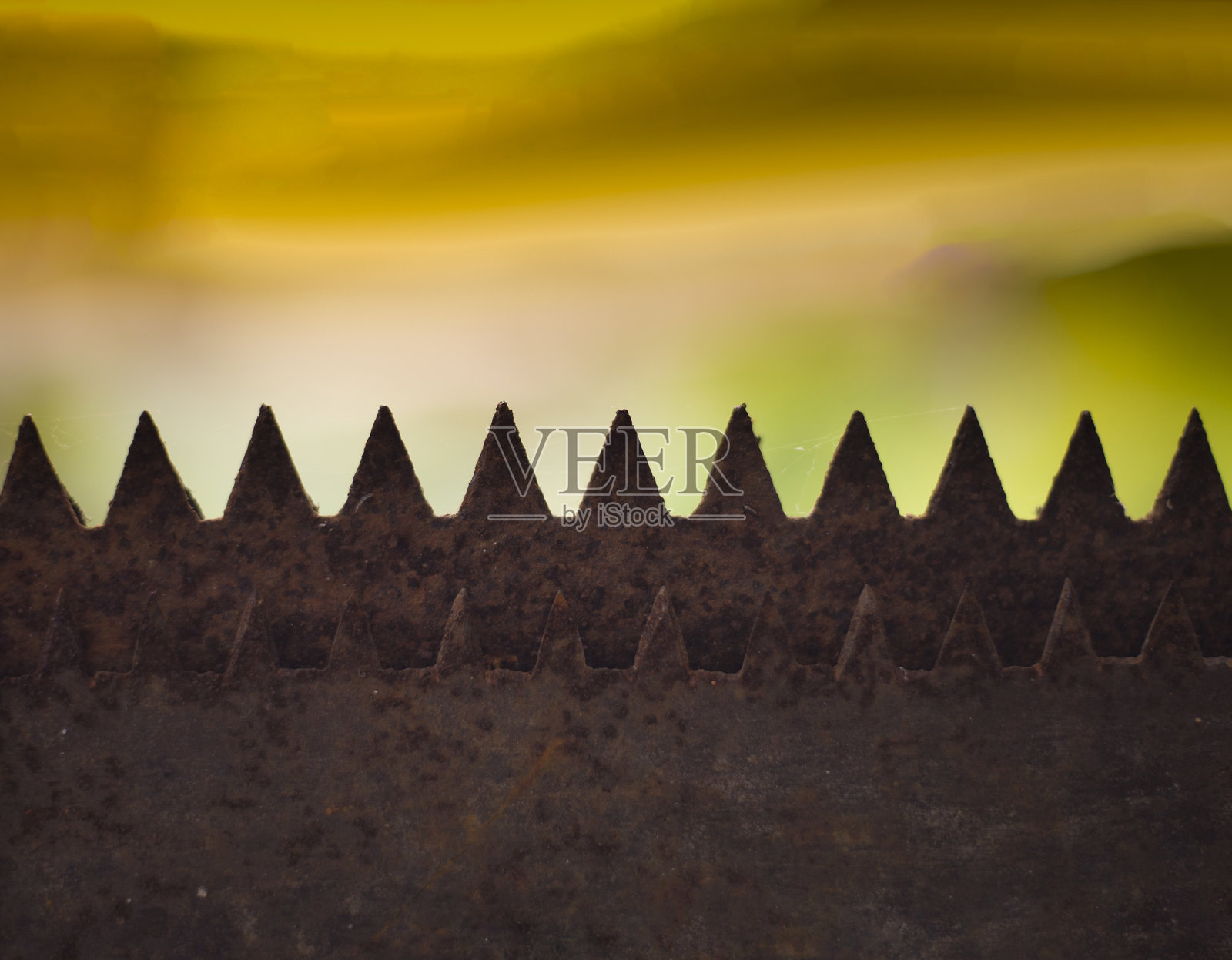 锯片特写照片摄影图片