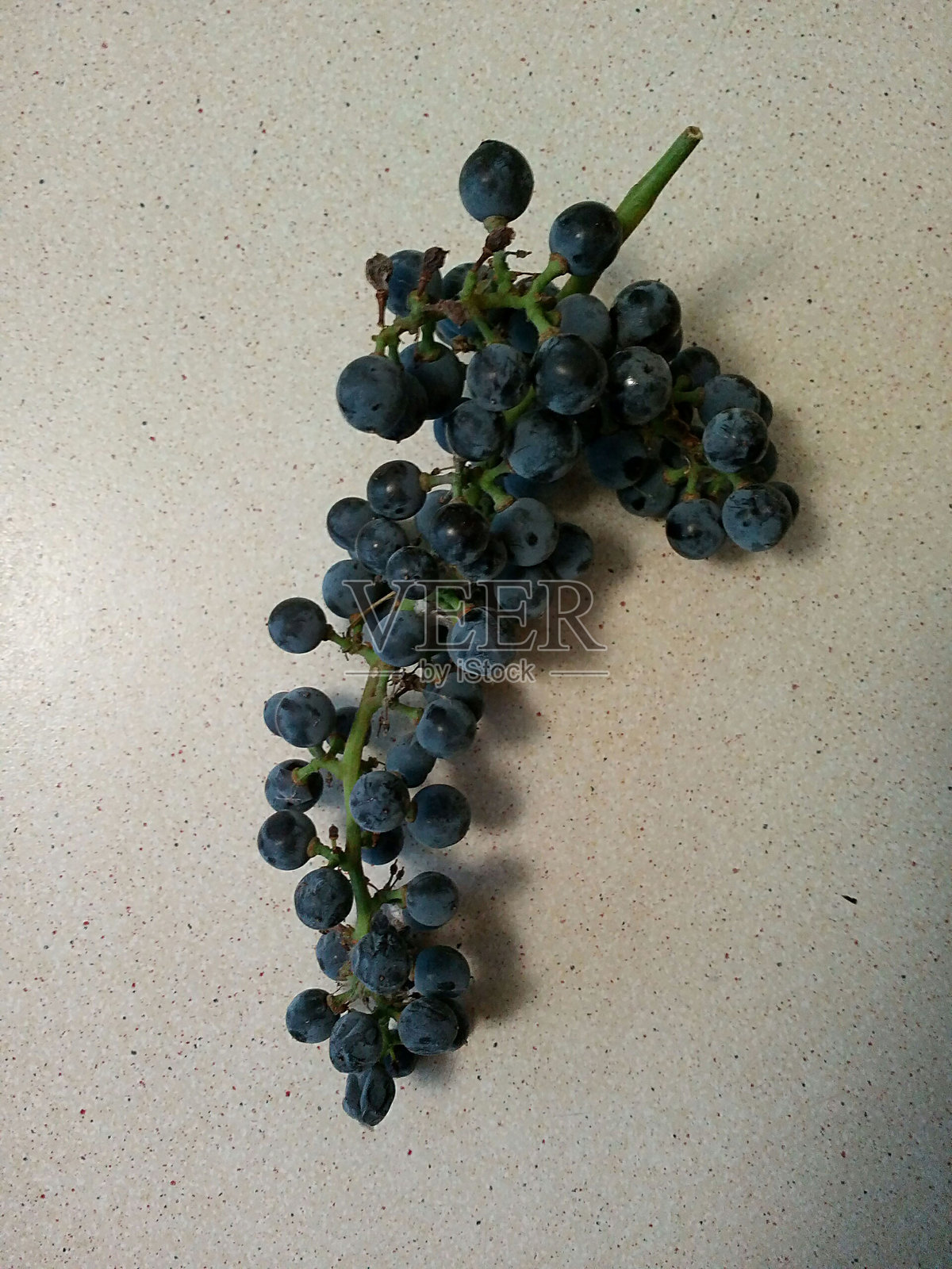 一串野生葡萄照片摄影图片