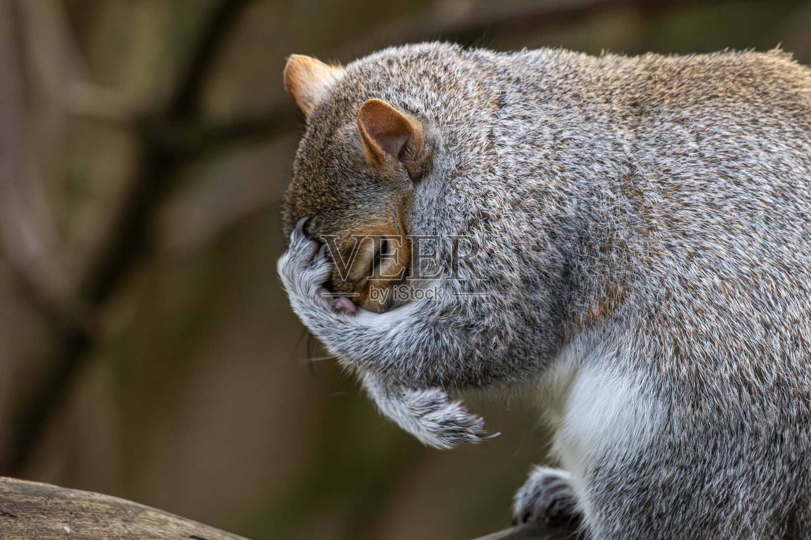 湿地的圆形景观照片摄影图片