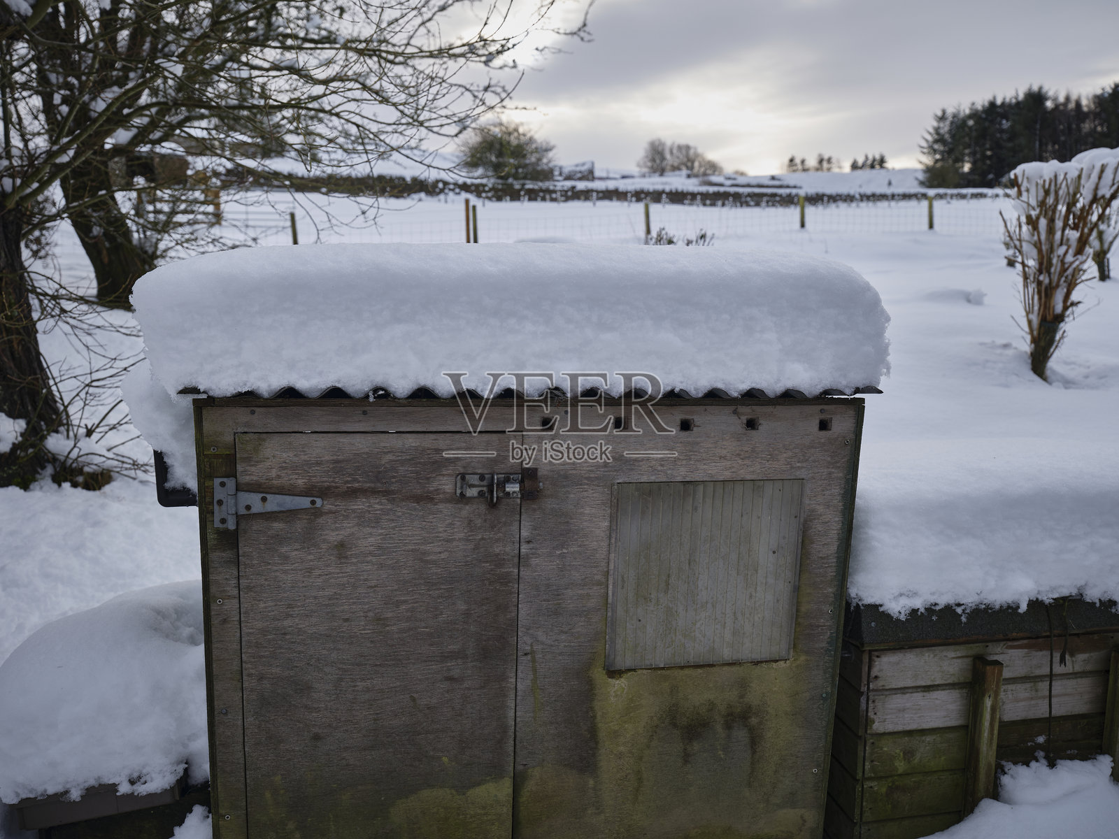 雪覆盖的鸡舍照片摄影图片
