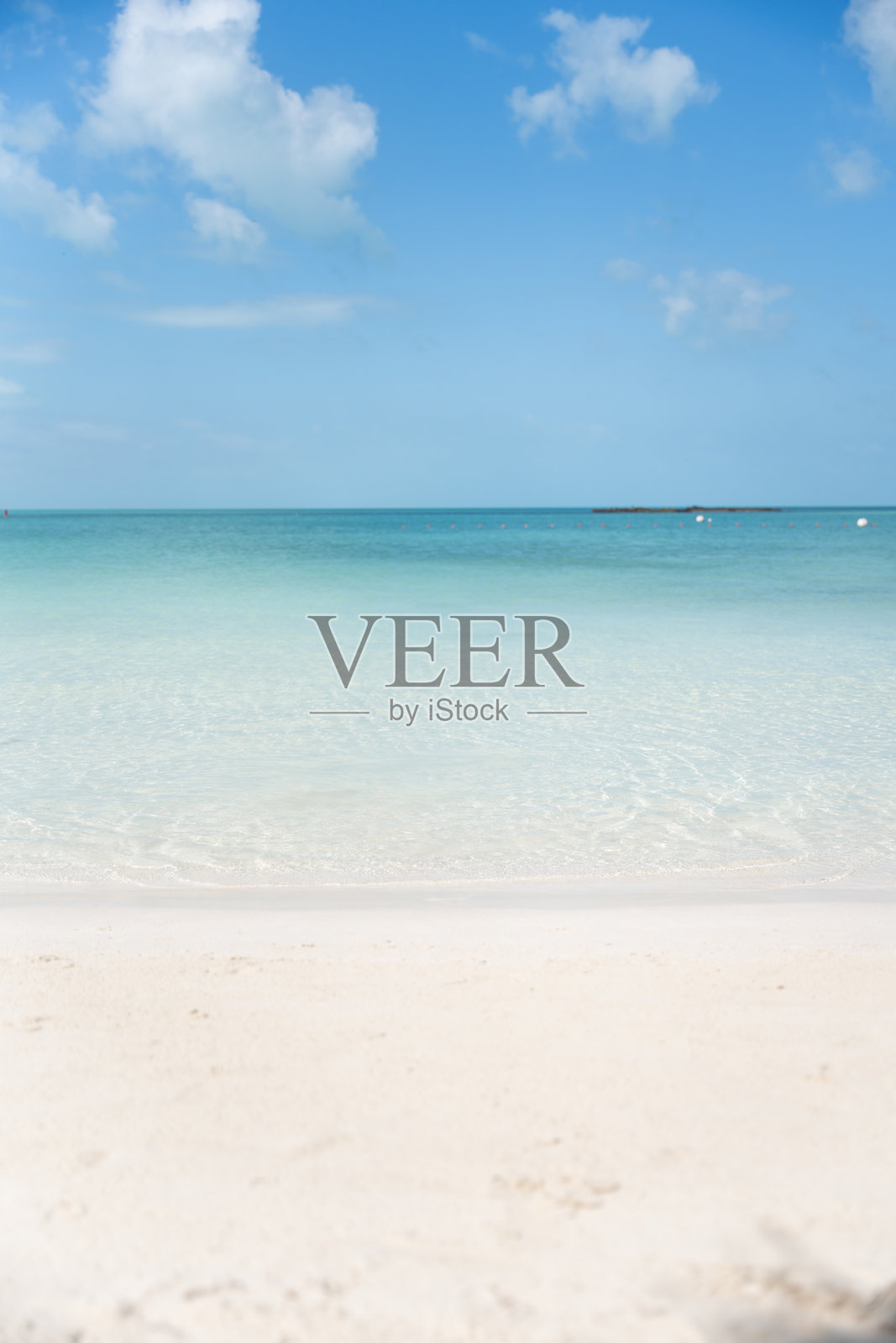 美丽清澈，清澈的蓝色加勒比海海水垂直照片摄影图片