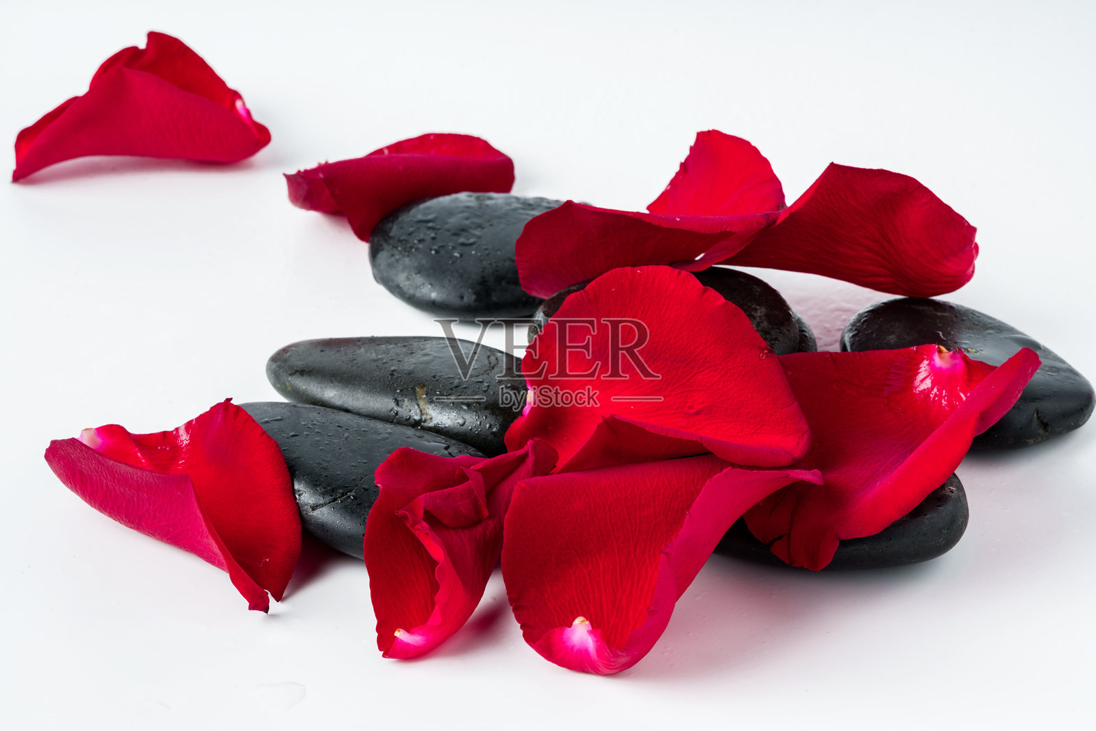 水疗石和花在白色的背景照片摄影图片