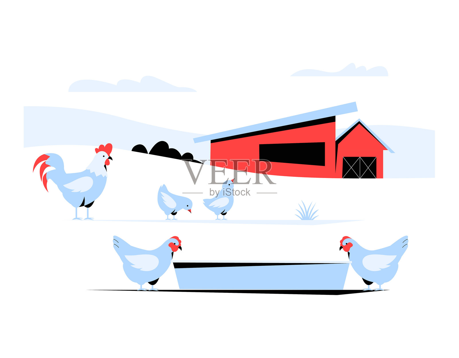 农场场景，带有鸡和谷仓的扁平矢量插图，象征着家禽养殖、农业和乡村生活，背景为白色。插画图片素材