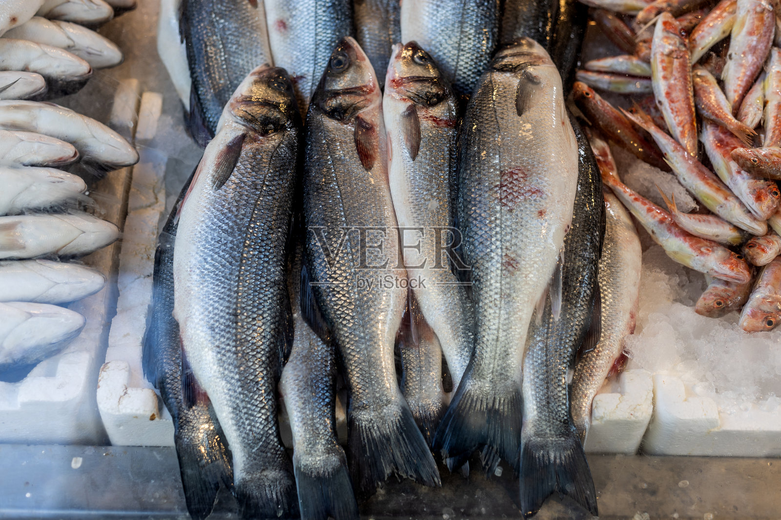土耳其伊兹密尔鱼市场上冰上出售的新鲜海鲈鱼照片摄影图片