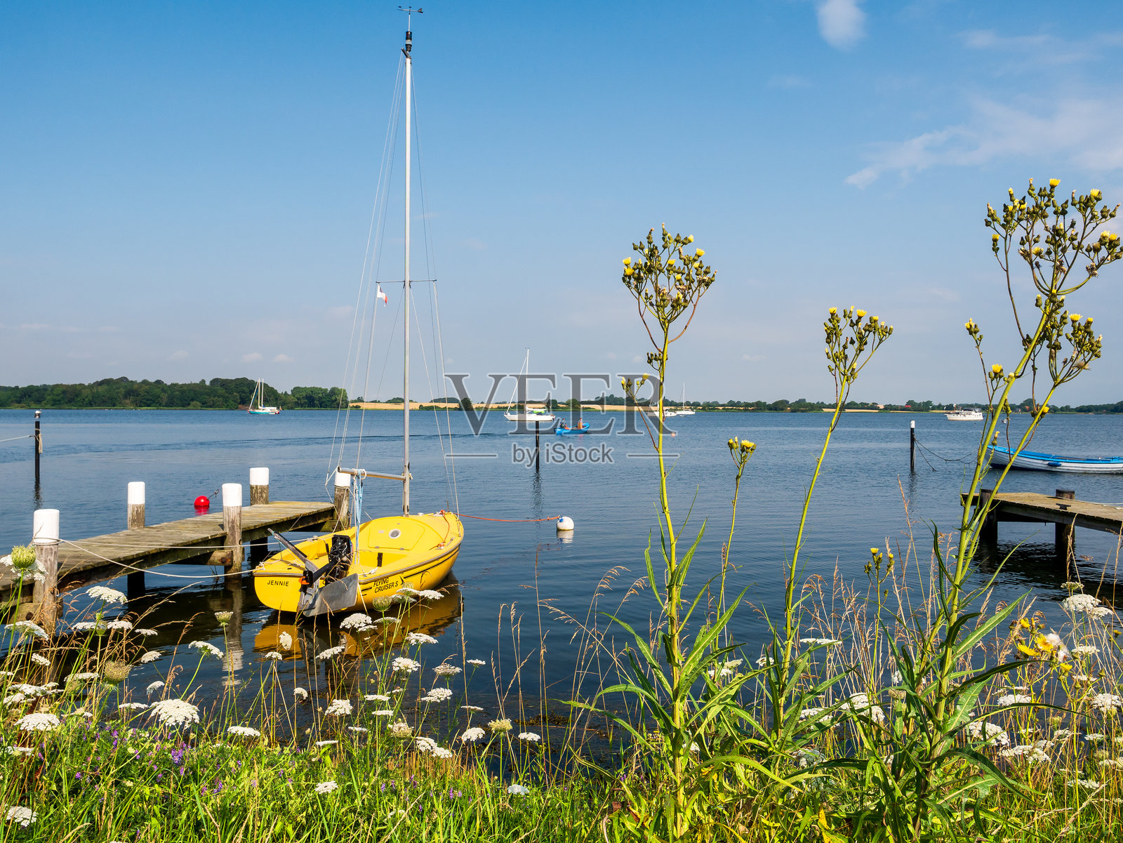 通过植被看到的沃姆斯霍夫特诺尔，水边的沼泽蓟。马阿斯霍尔姆，施莱峡湾，德国石勒苏益格-荷尔斯泰因州。照片摄影图片
