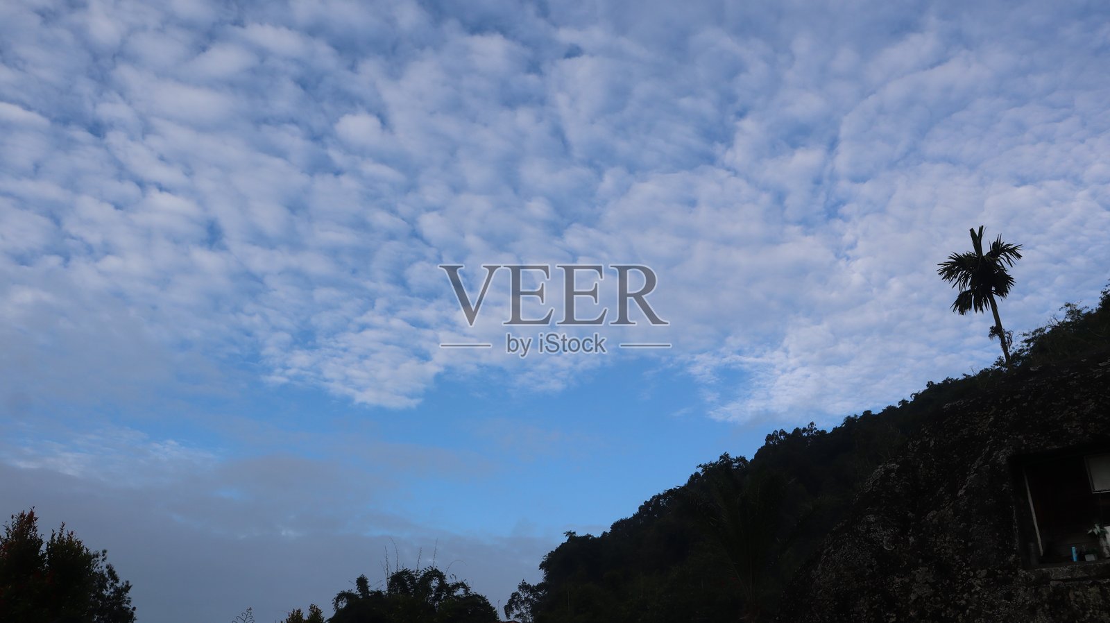 村庄的清晨氛围照片摄影图片