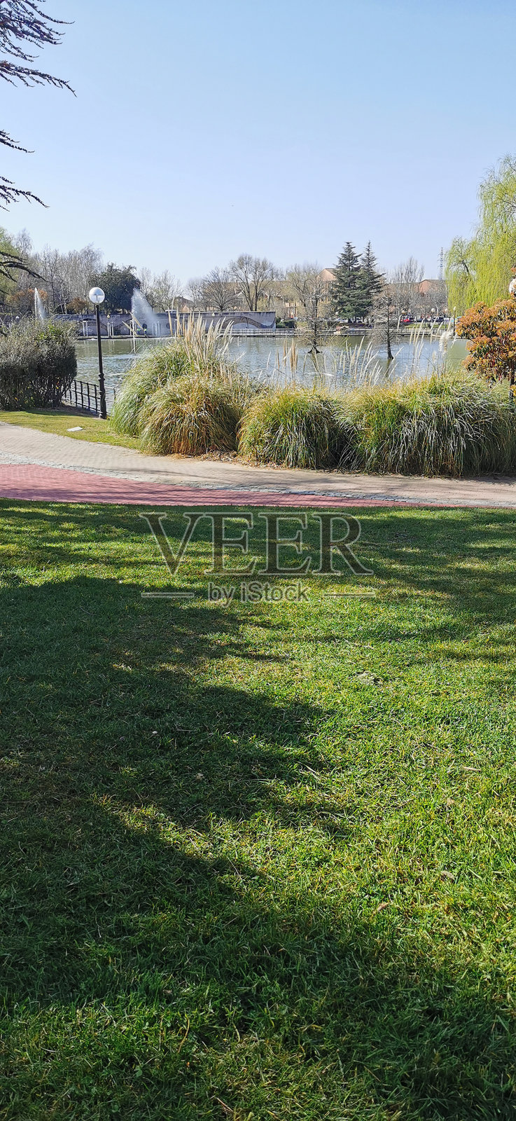 公园里满是树木和绿地照片摄影图片