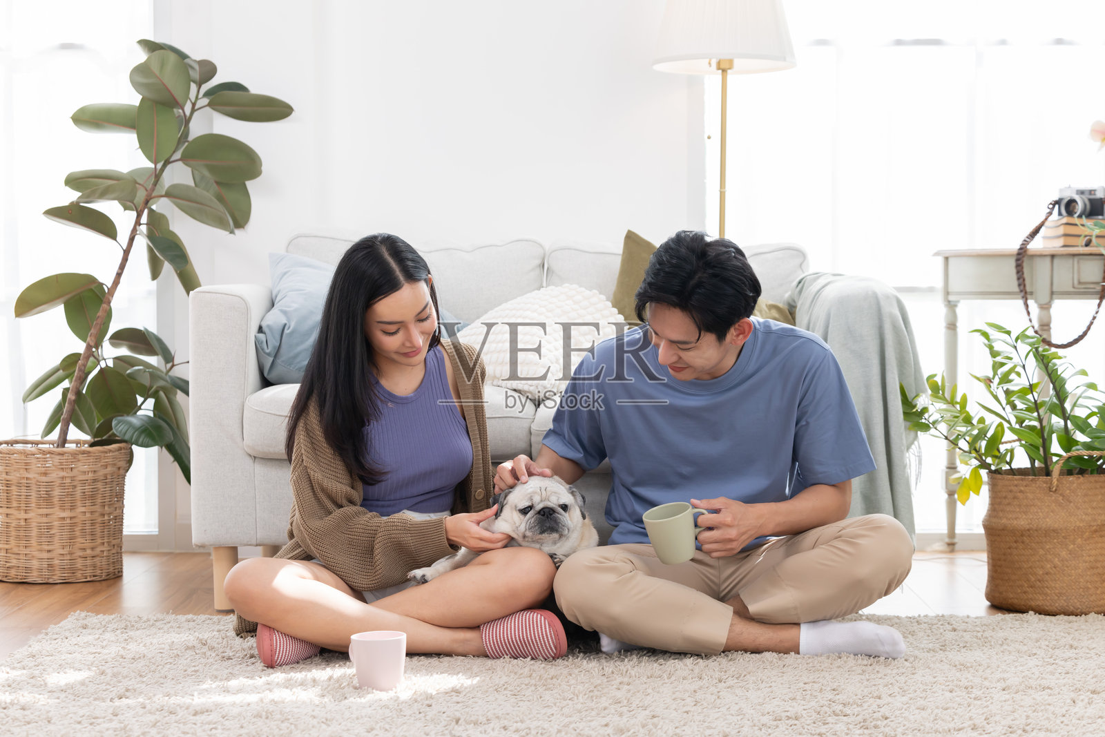 亚洲夫妇在客厅与他们的巴哥犬共度美好时光照片摄影图片