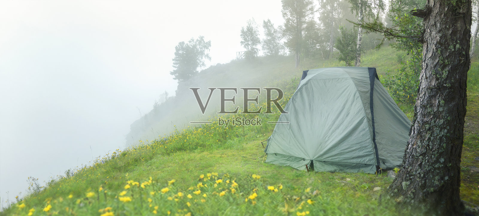 一个隐蔽的帐篷位于夏季早晨雾气弥漫的山顶森林中。一个美丽宁静的露营地点，帐篷被朦胧的自然小径环绕。照片摄影图片