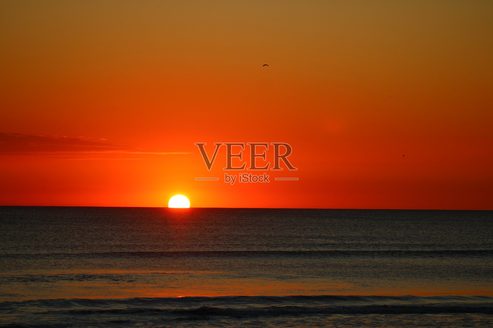 佛罗里达海滩的晨曦日出照片摄影图片