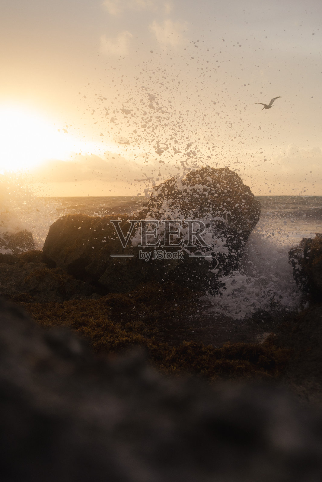 翻滚的海浪照片摄影图片