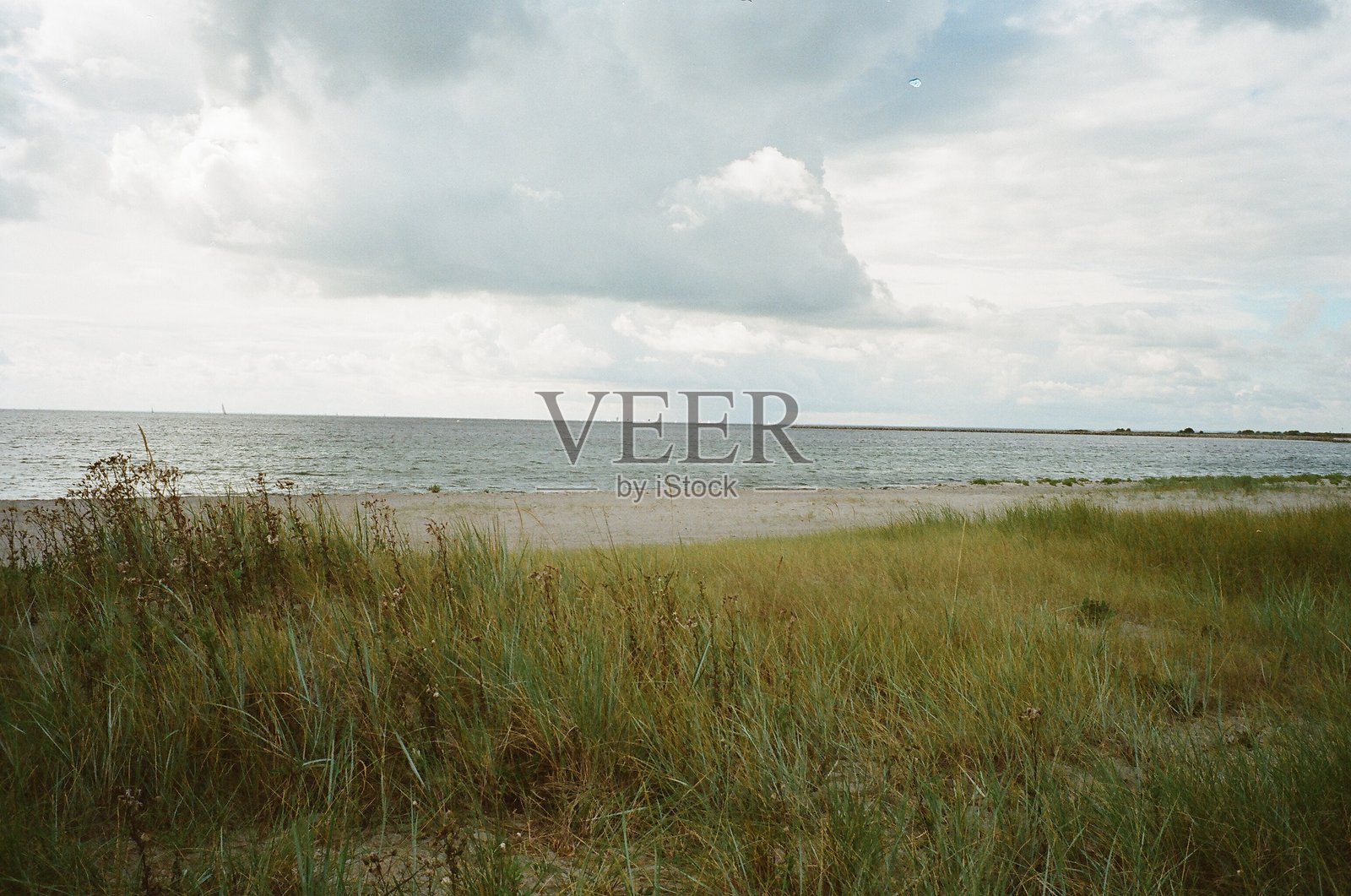 柔和的自然照片摄影图片