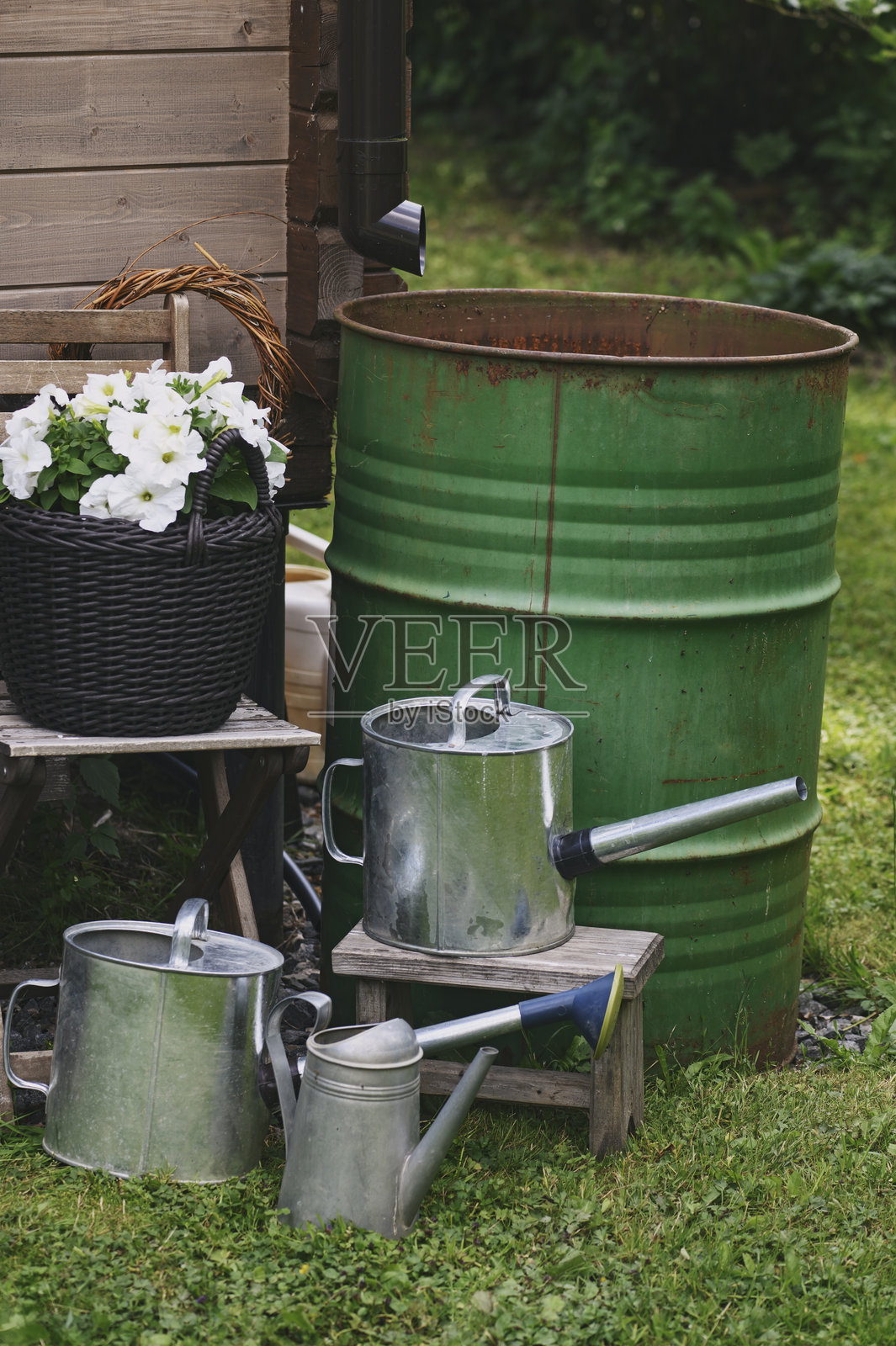 夏季花园中的雨水桶，旁边有浇水壶和花盆里的花。节水概念。照片摄影图片