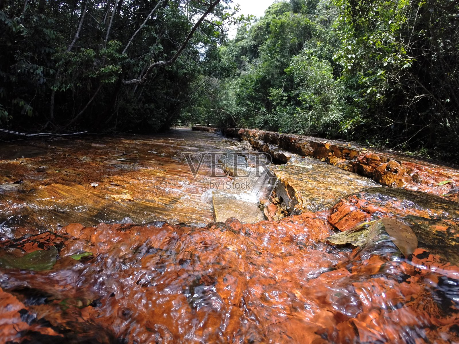 卡维照片摄影图片