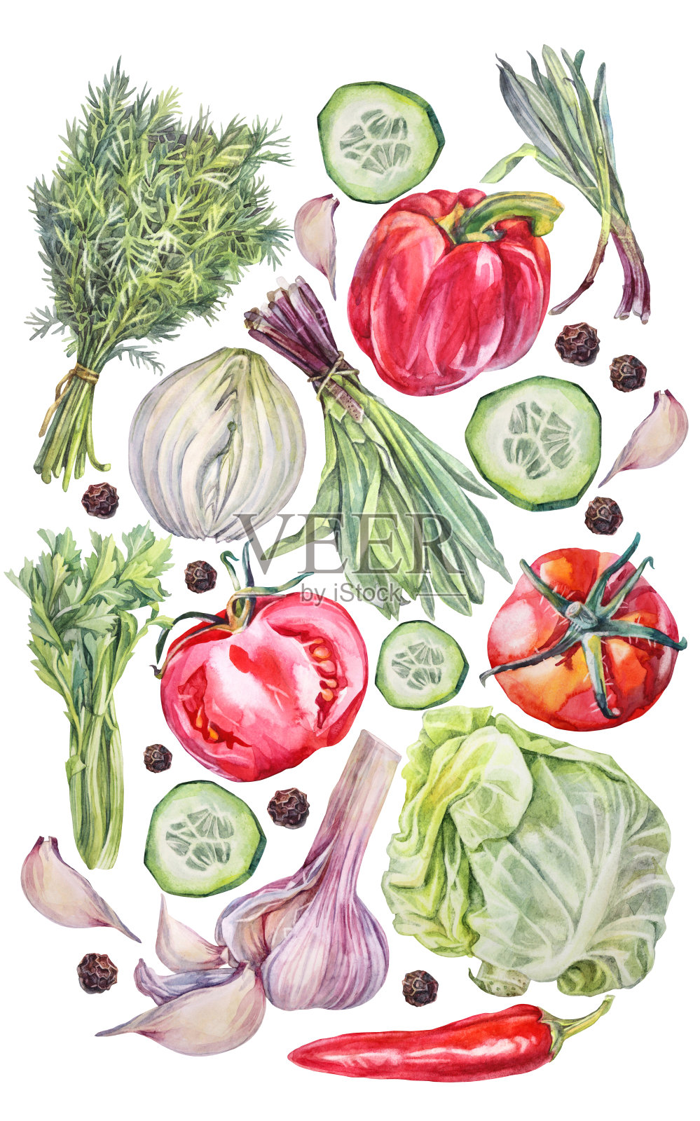 水彩画作品，包含西红柿、甜椒、大蒜、卷心菜、黄瓜和绿色植物，背景为白色。健康食品，适合沙拉和食谱。可用于菜单壁纸或包装的剪贴画。插画图片素材