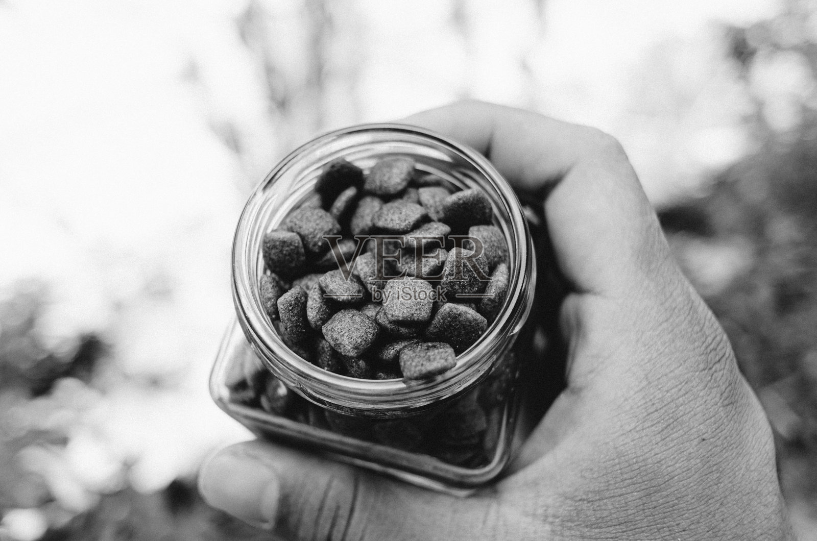 狗粮照片摄影图片