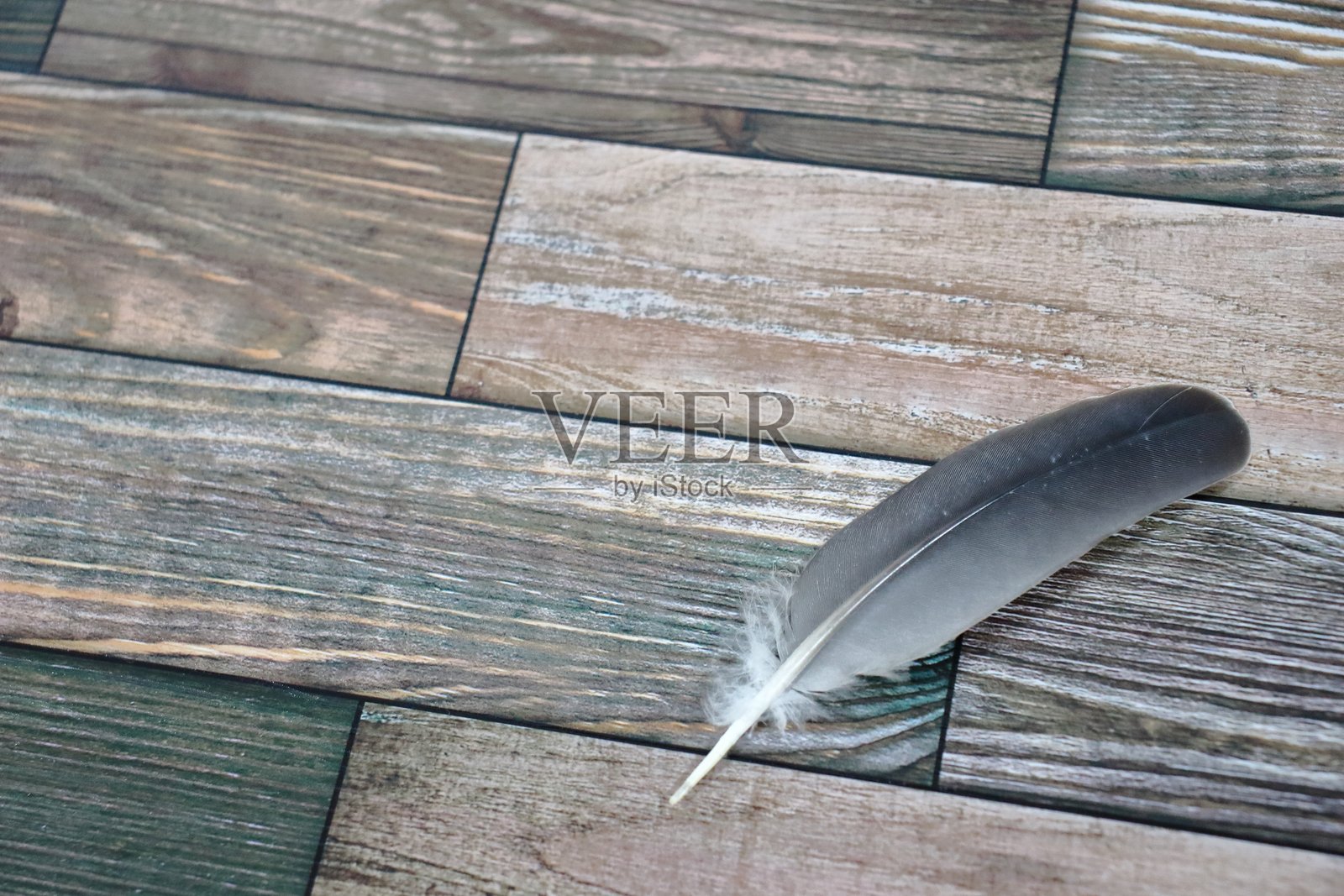 羽毛之舞 - 邀请天空照片摄影图片