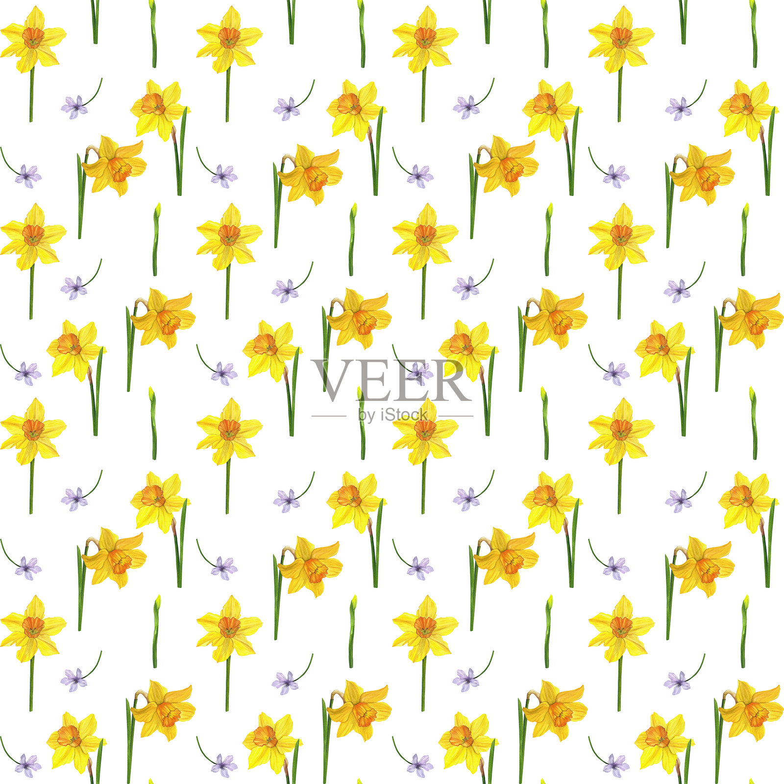 黄色水仙花与紫色花朵，水彩无缝图案插画图片素材