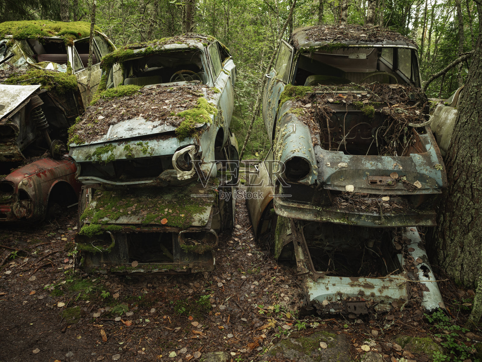 自然中的废弃复古汽车照片摄影图片