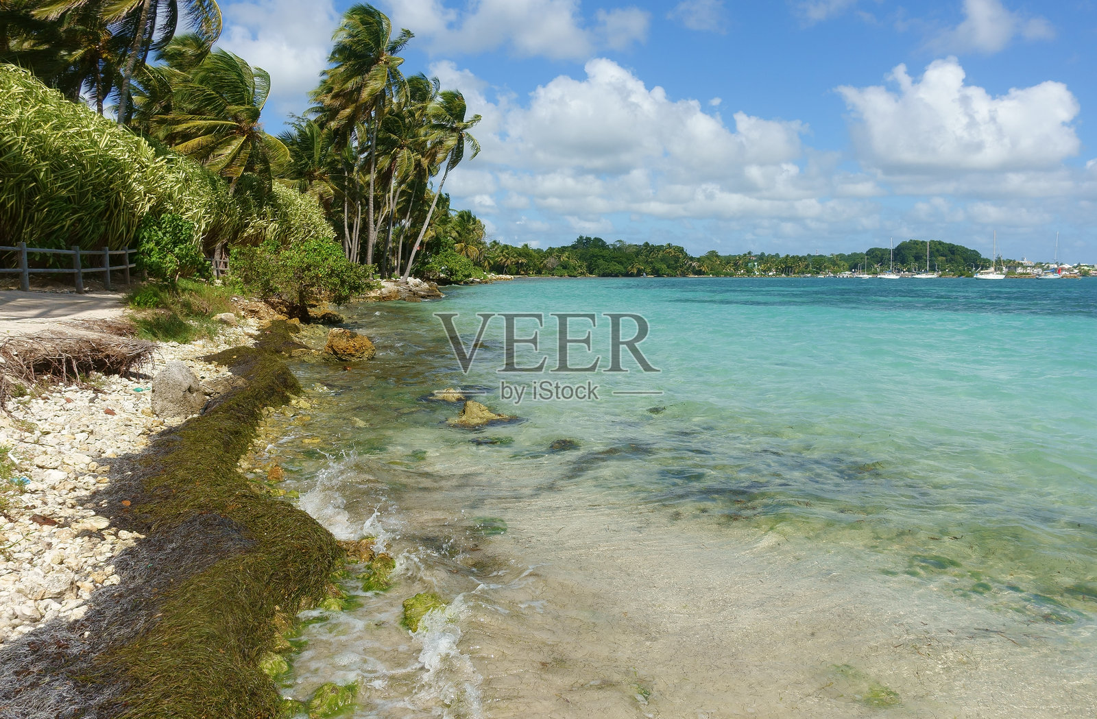 田园诗般的热带海滩照片摄影图片