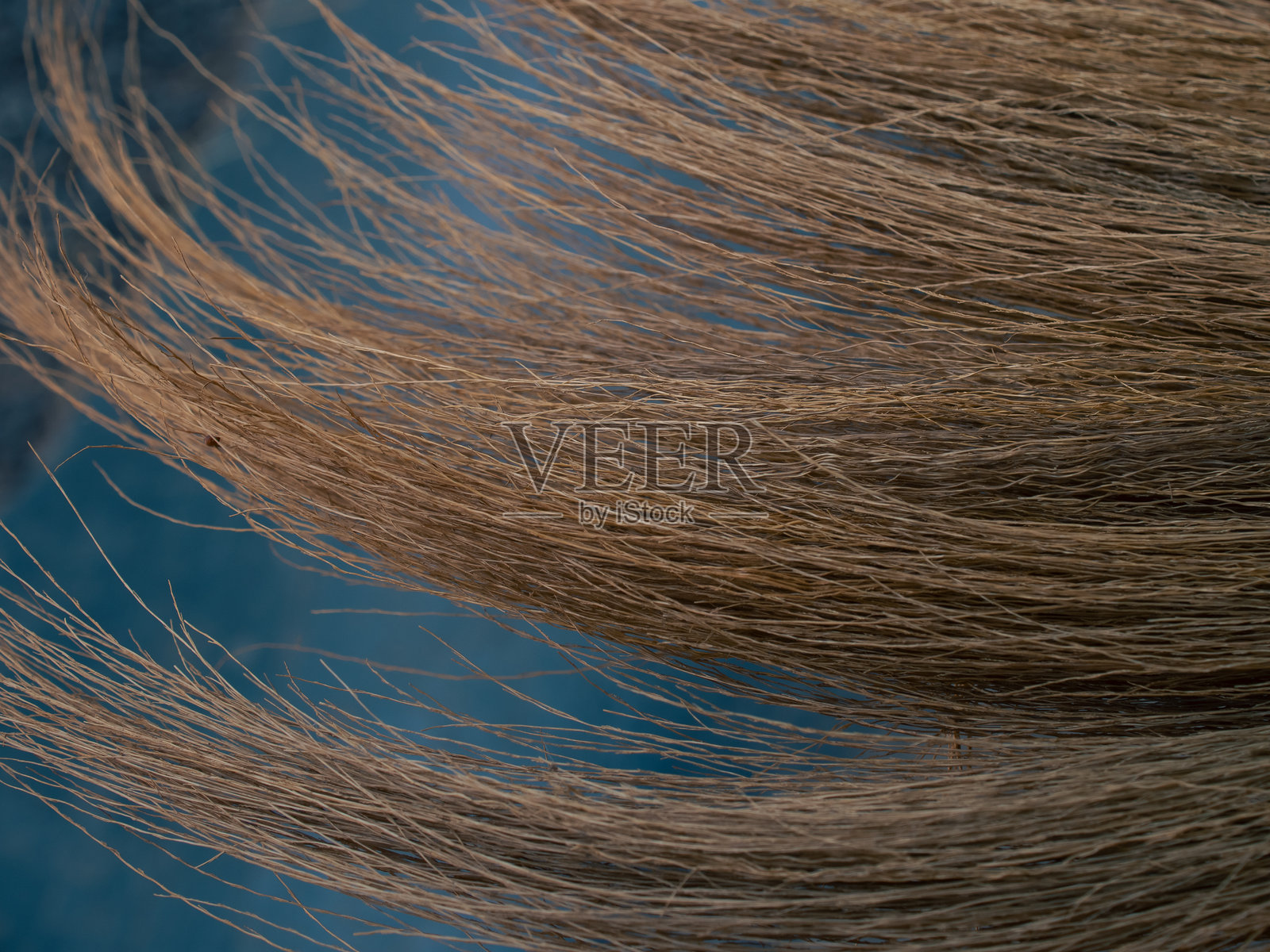 扫帚特写照片摄影图片