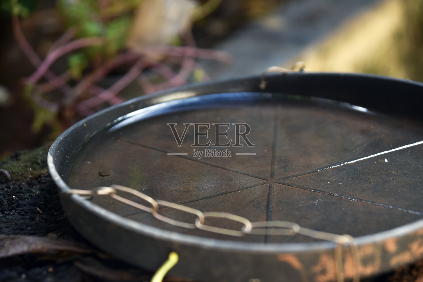 废弃的碗状容器，里面有静止的水。特写镜头。蚊子在潜在的滋生地。照片摄影图片