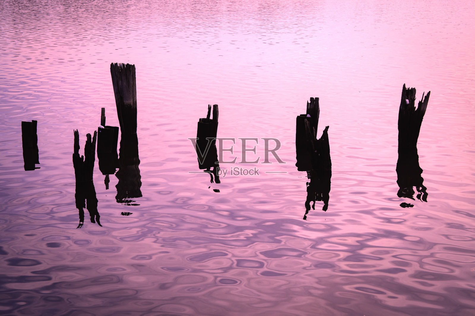 水中老旧的破损码头桩照片摄影图片