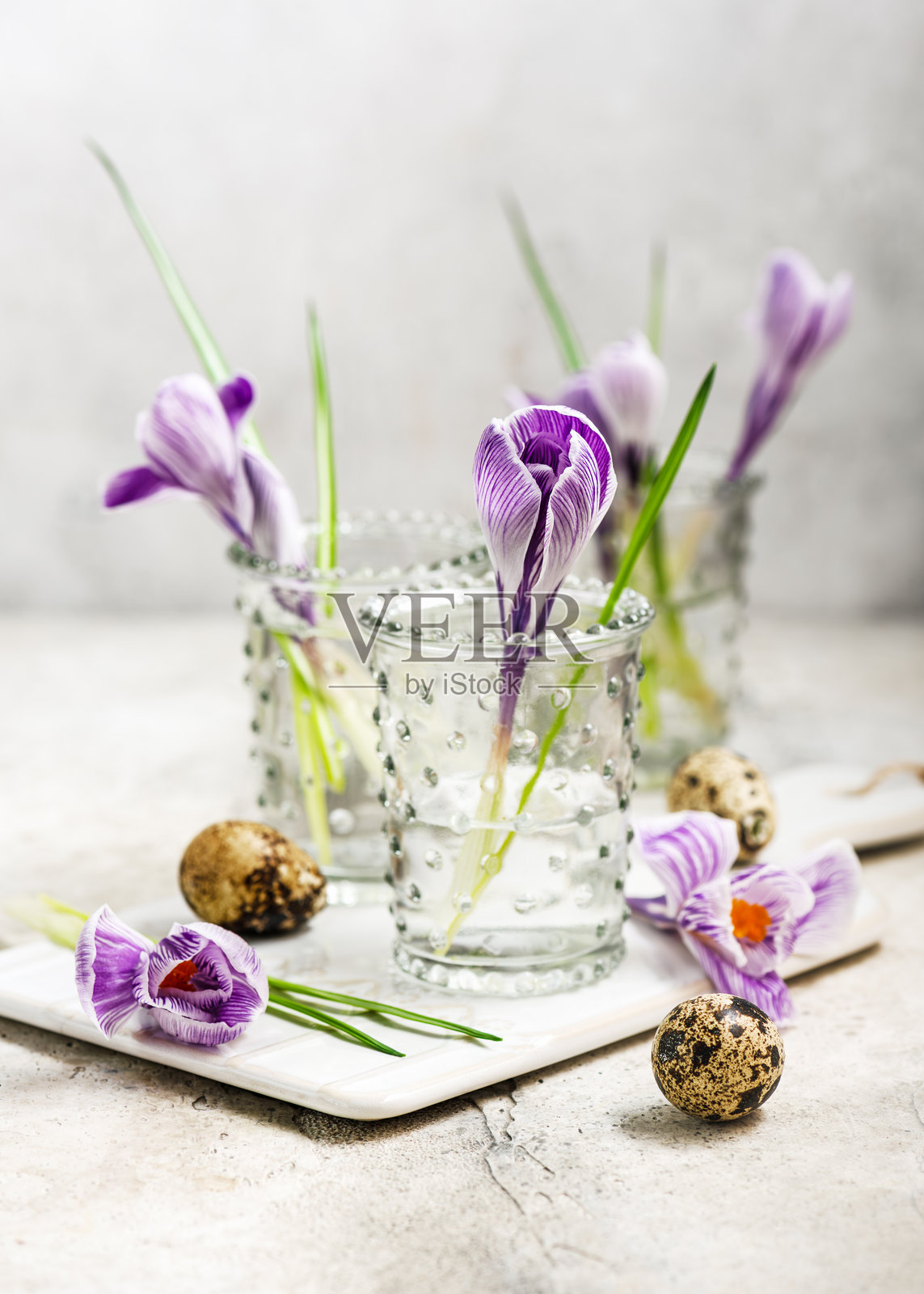 小瓶中盛放着紫色条纹花的迷你花束，条纹之王，旁边还有鹌鹑蛋。照片摄影图片