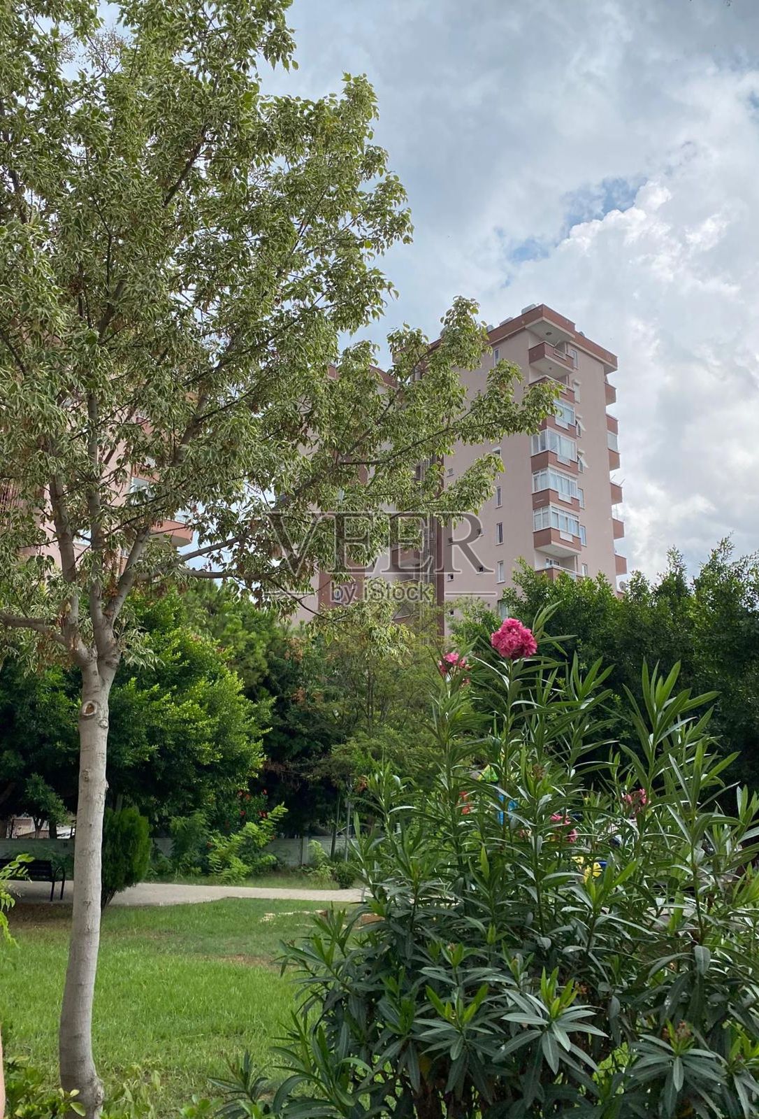 树木与天空的风景照片摄影图片