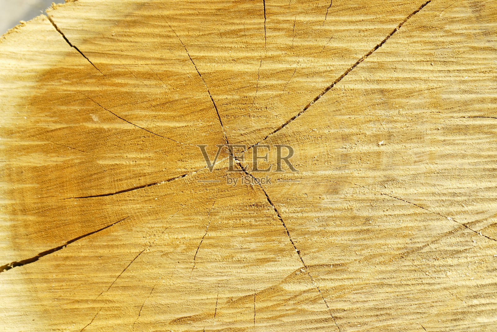 自然木纹纹理，表面可见的纹理和轻微裂缝照片摄影图片