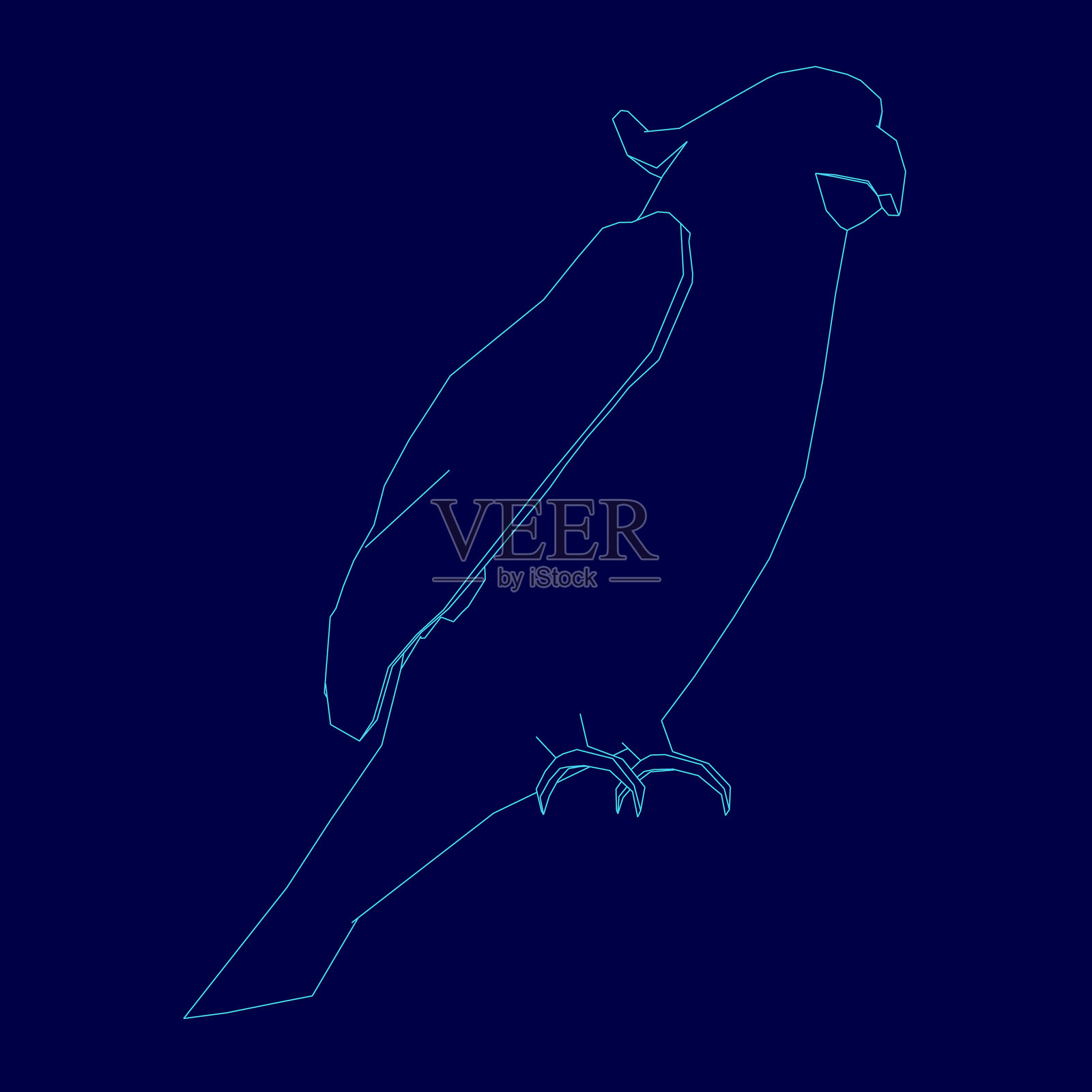 一只鹦鹉在蓝色背景下，栖息在树枝上。插画图片素材