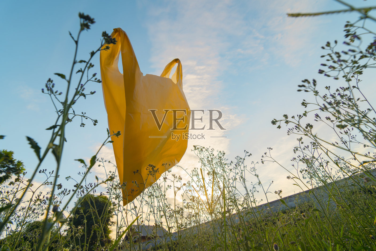 用过的塑料袋漂浮在公共花园，垃圾和污染，全球变暖和气候变化。照片摄影图片