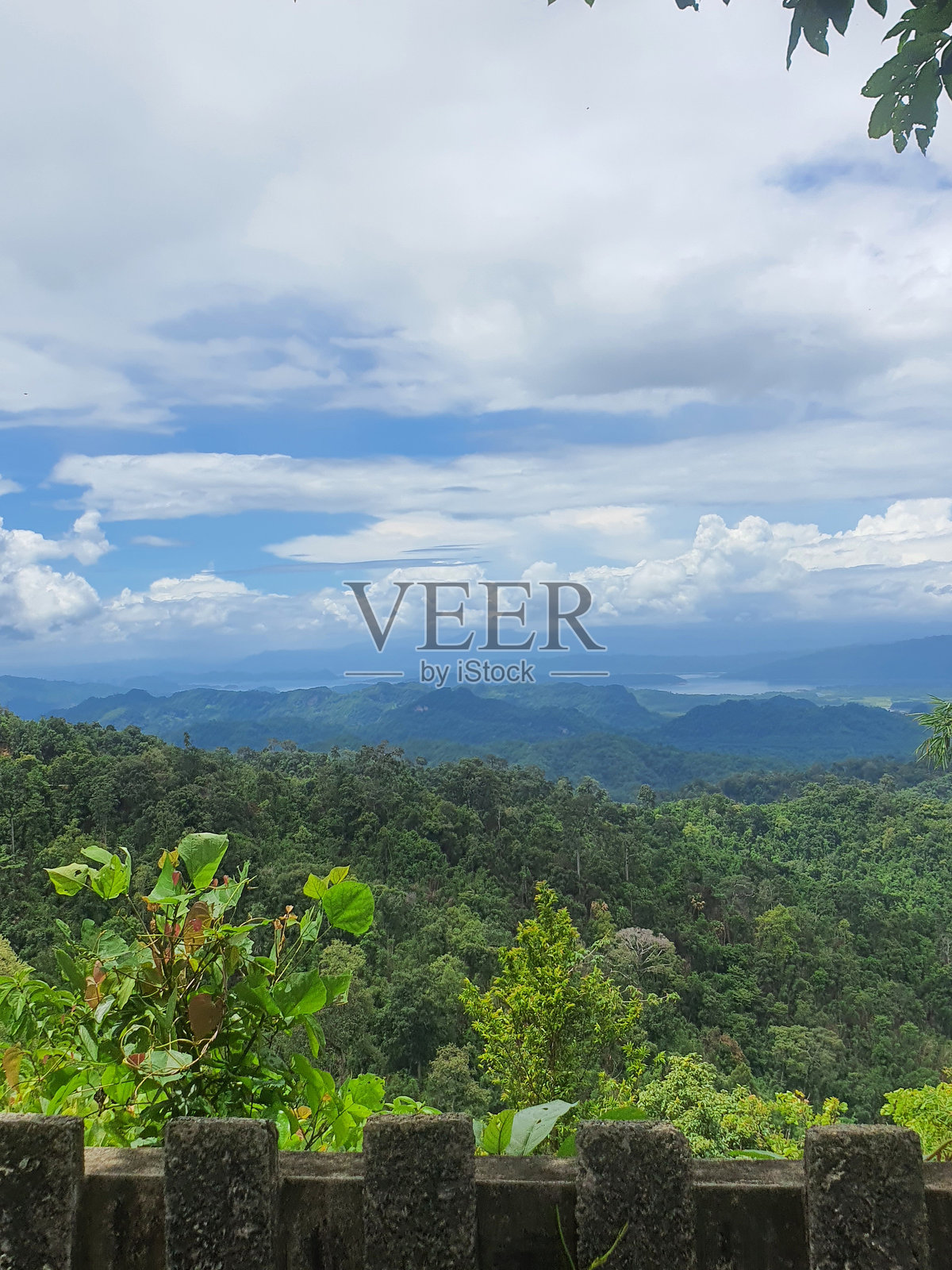 绿林蓝天的迷人景色照片摄影图片