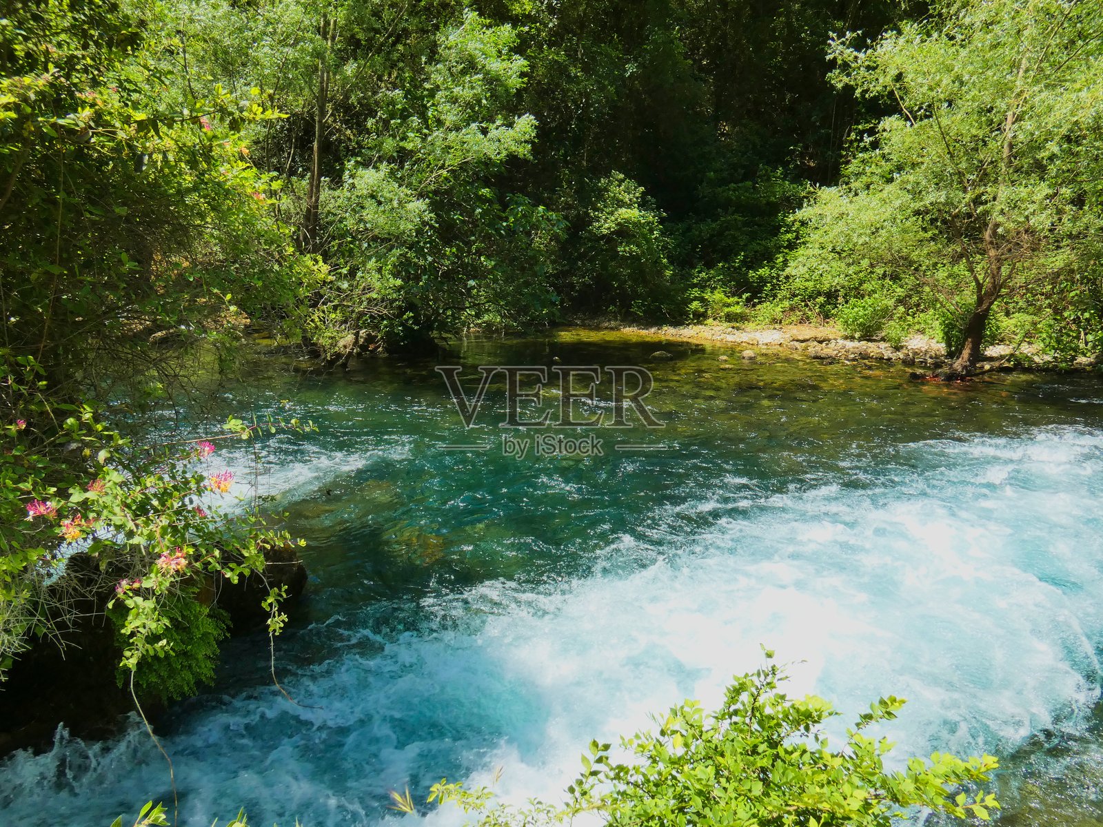 壮丽的野生和舒缓的景观与索格河闪耀和反射光在方丹德沃克卢兹在普罗旺斯照片摄影图片
