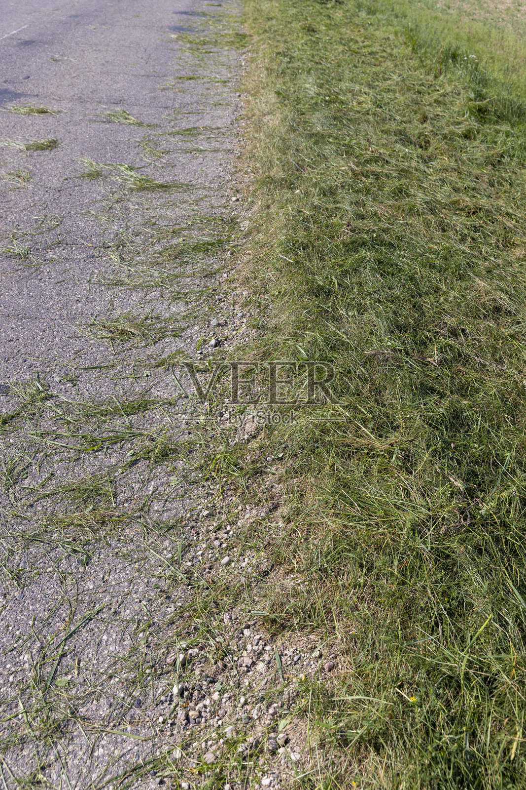 路的边沿和路肩都被割过的绿草覆盖着照片摄影图片