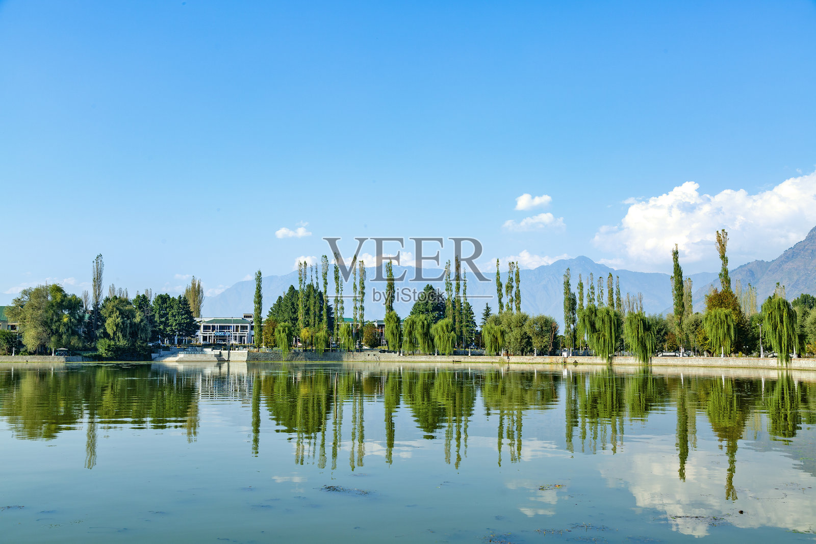 在印度查谟和克什米尔的斯利那加，倒影着植物和蓝色多云的天空和山脉的水景。照片摄影图片