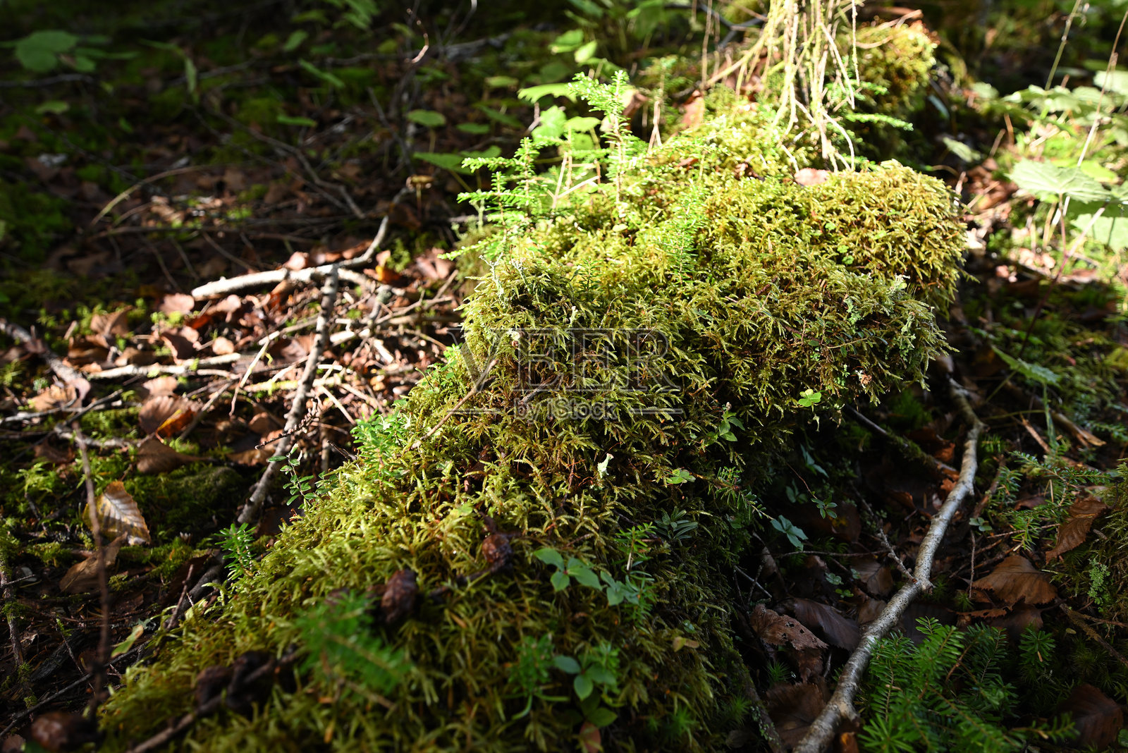 攀登日本栃木县的日光白根山照片摄影图片