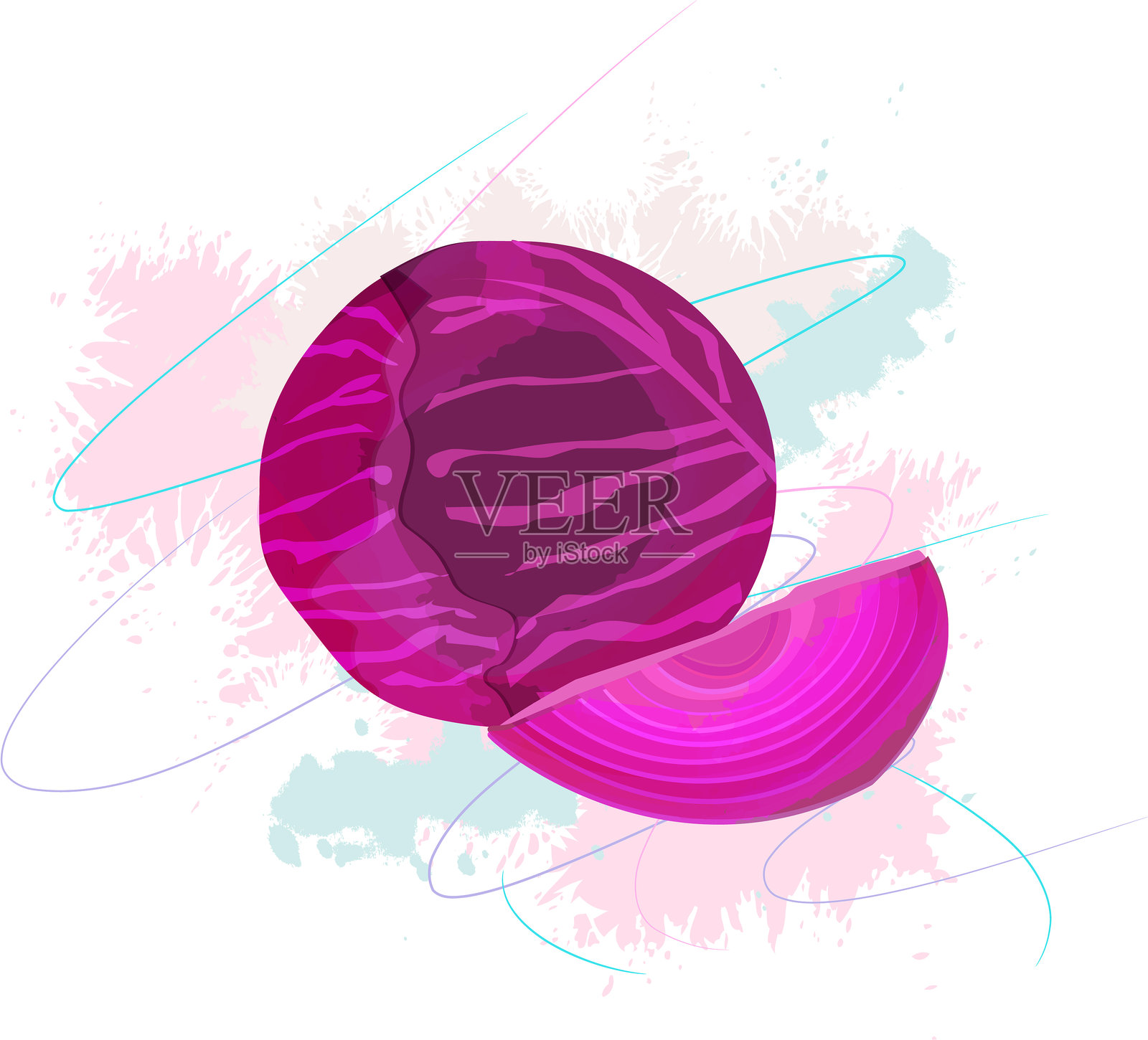 红甘蓝插画图片素材