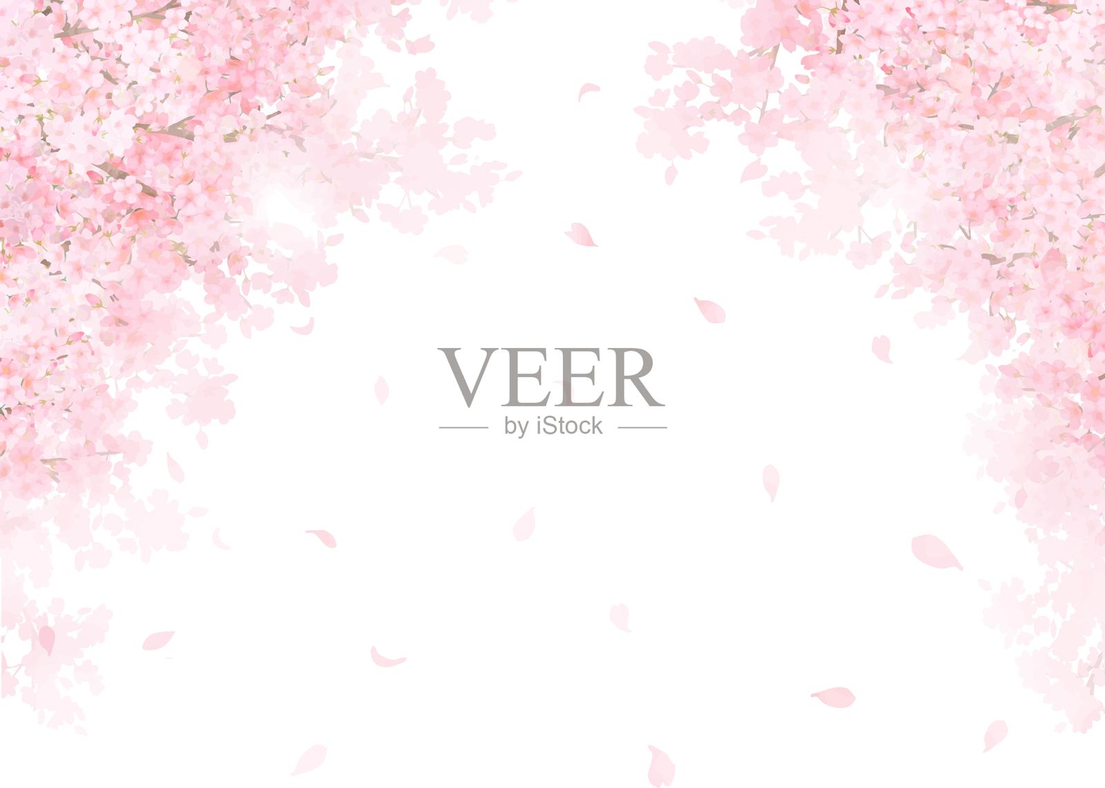 美丽而华丽的浅粉色樱花矢量插图背景插画图片素材